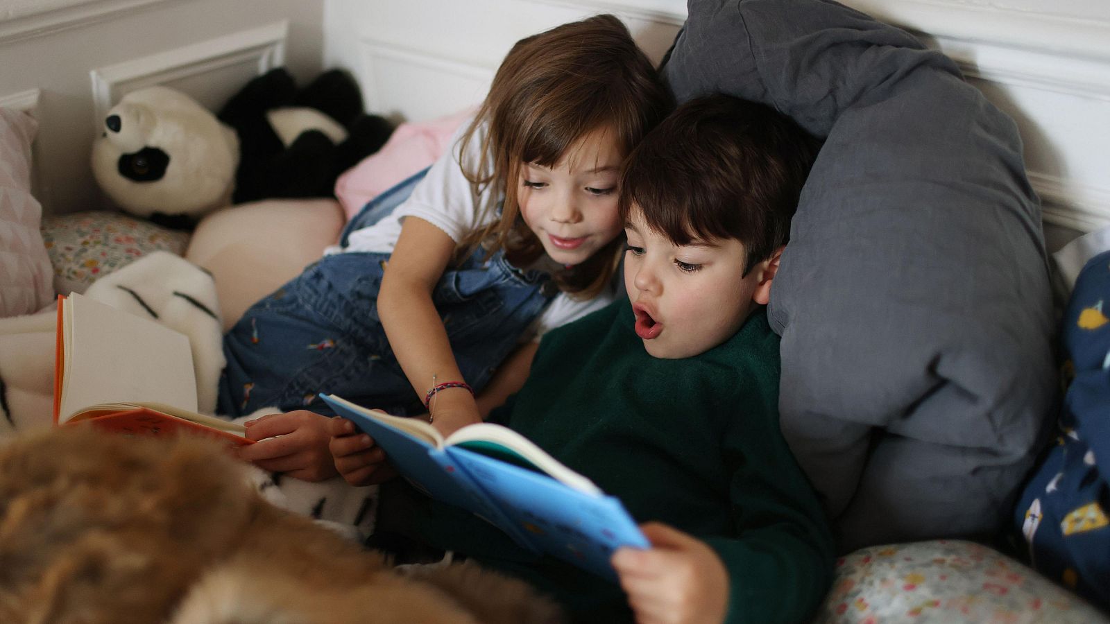 Día Internacional del Libro Infantil y Juvenil | Los cuentos son entrenadores emocionales