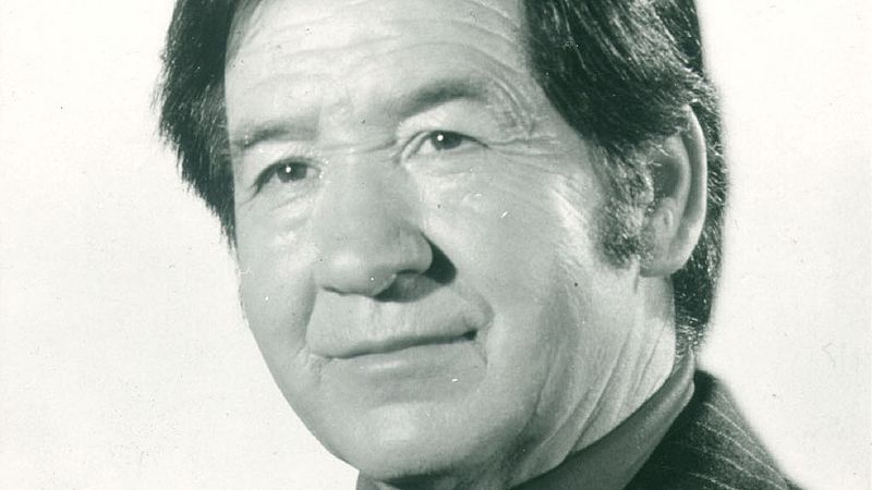 Retrato de Juanito Valderrama