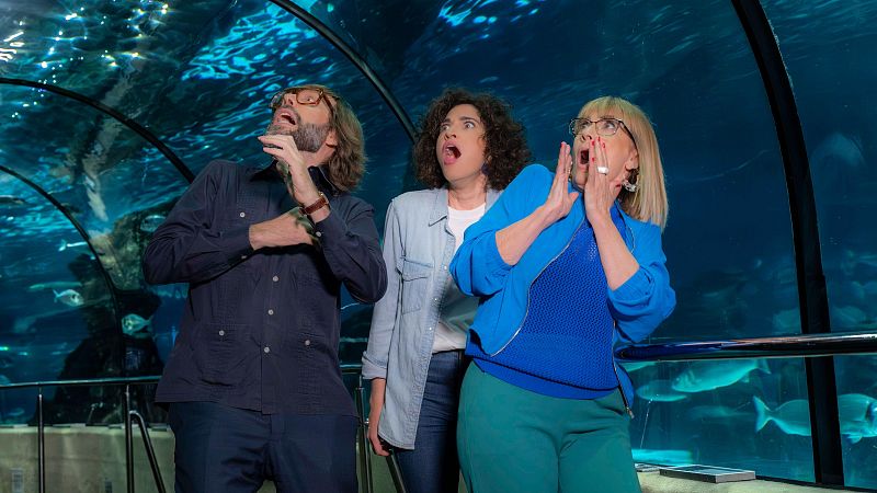 Òscar Dalmau, Elena Gadel i Gemma Nierga al túnel de l'Aquàrium de Barcelona