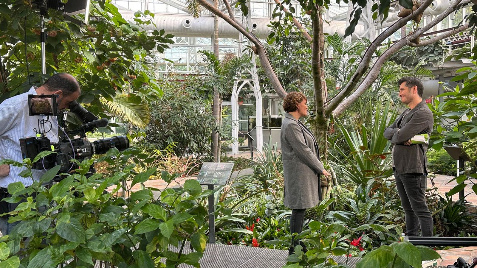 LMDE Trasplantes (5)