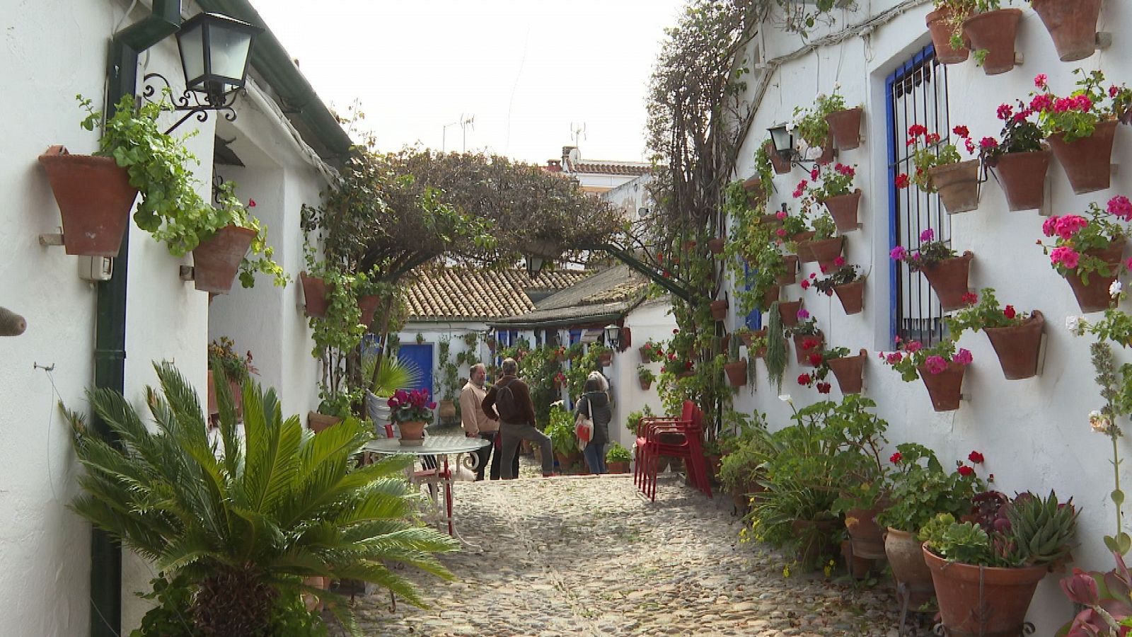 En Córdoba, los patios han adquirido un sentido único