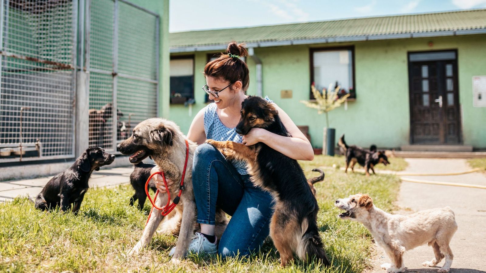 Una mujer acaricia y abraza a varios perros en una protectora de animales.