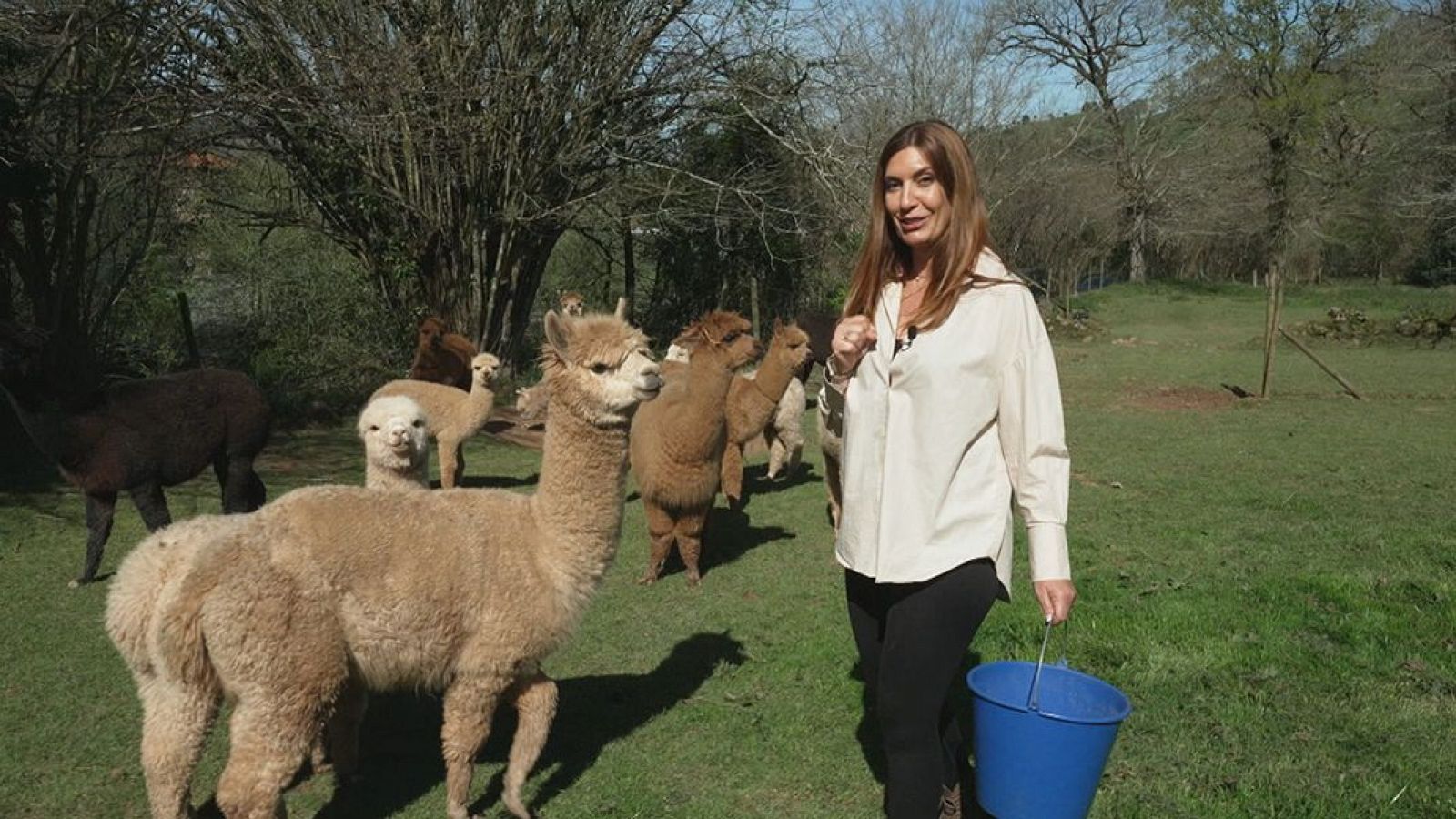 Una granja de alpacas digitalizada