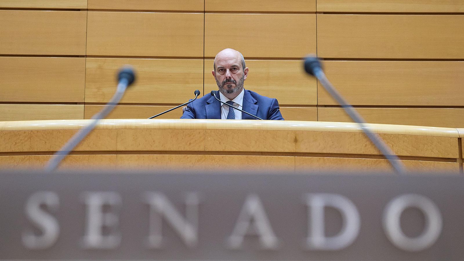 El presidente del Senado, Pedro Rollán, durante una sesión de Control en el Senado