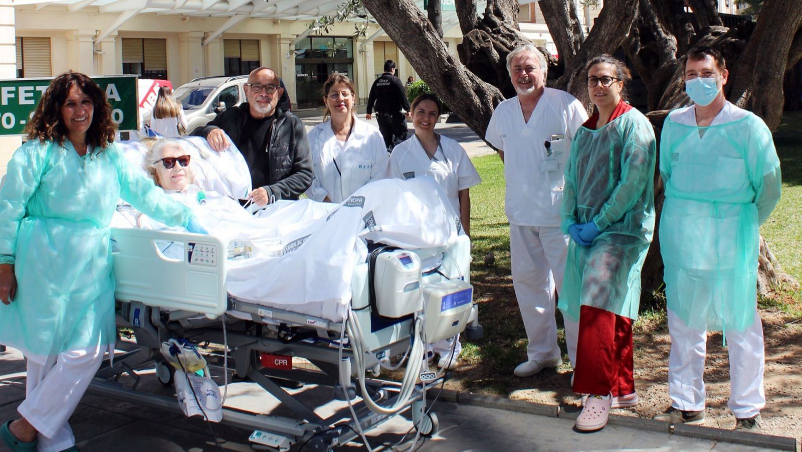 Paseos UCI del Hospital General de Valencia junto al olivo centenario