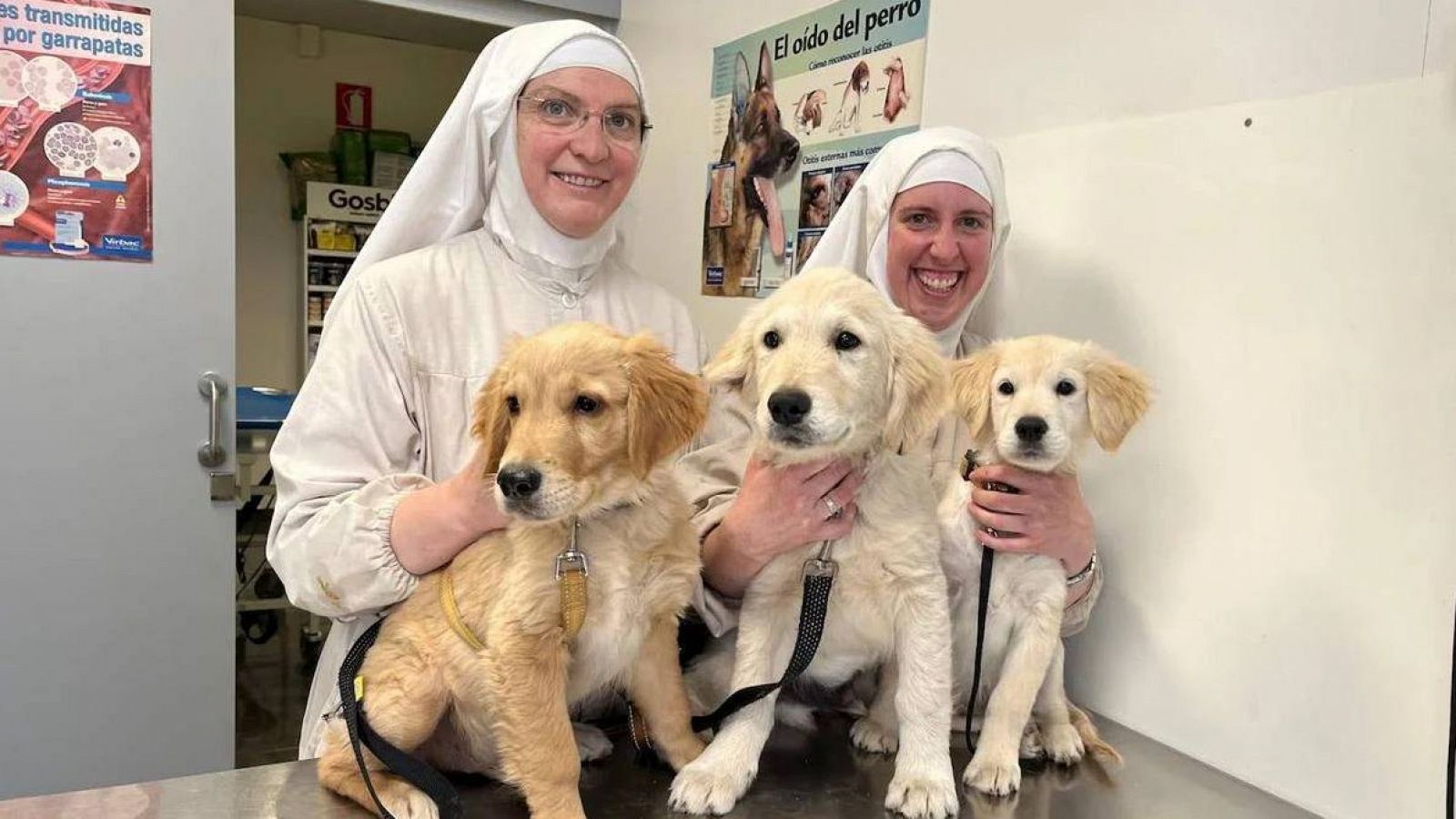 Monjas clarisas de Belorado con perros del criadero ilegal