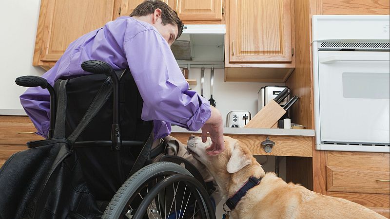 Buenas noticias de la semana del 20 al 26 de mayo: tetraplejia, AVE y Francis Bacon