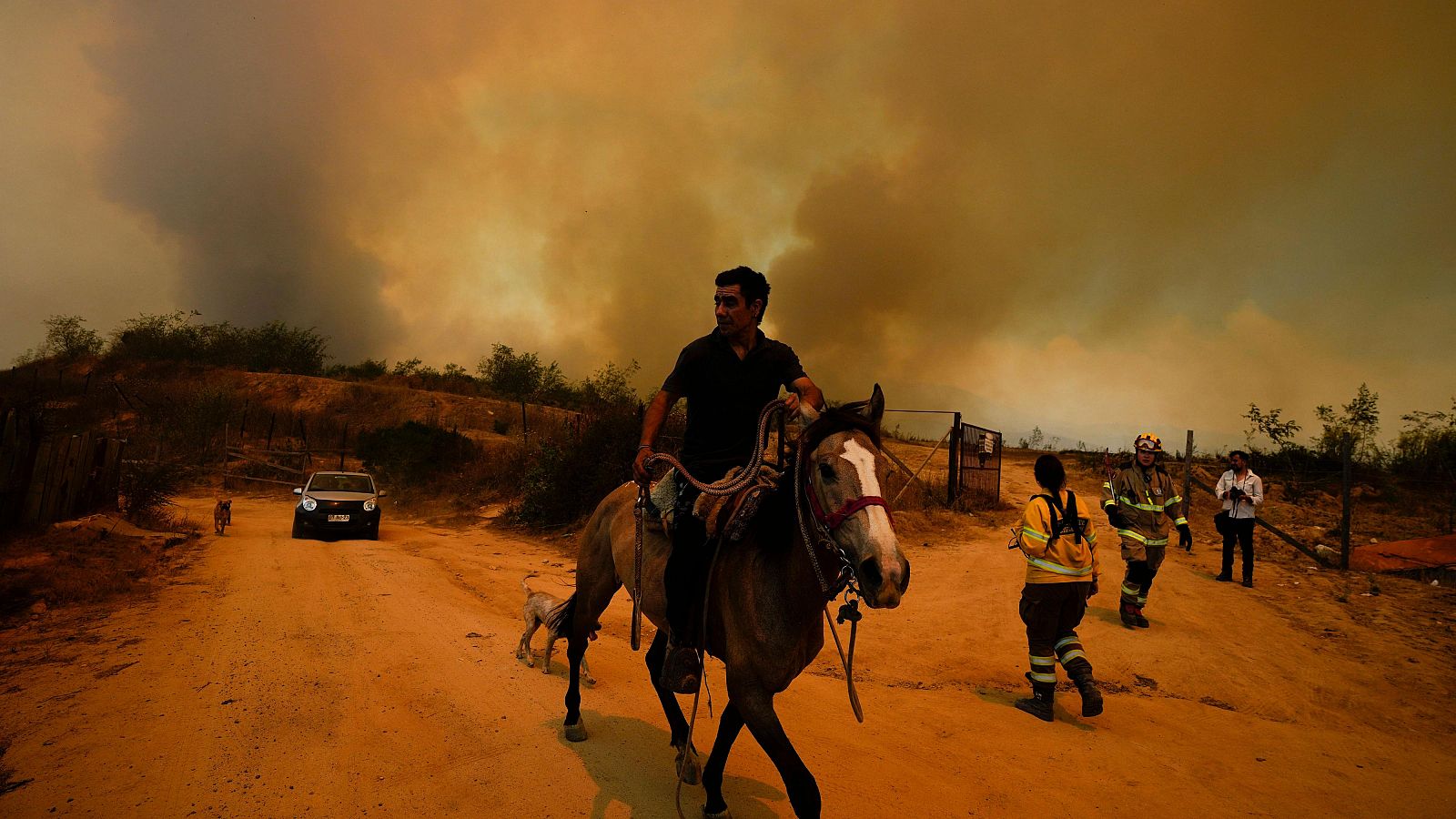 Incendio forestal en Viña del Mar, Chile