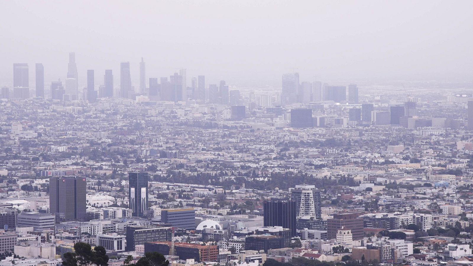 ‘La noche temática’ estrena ‘S.O.S. cataclismo climático’