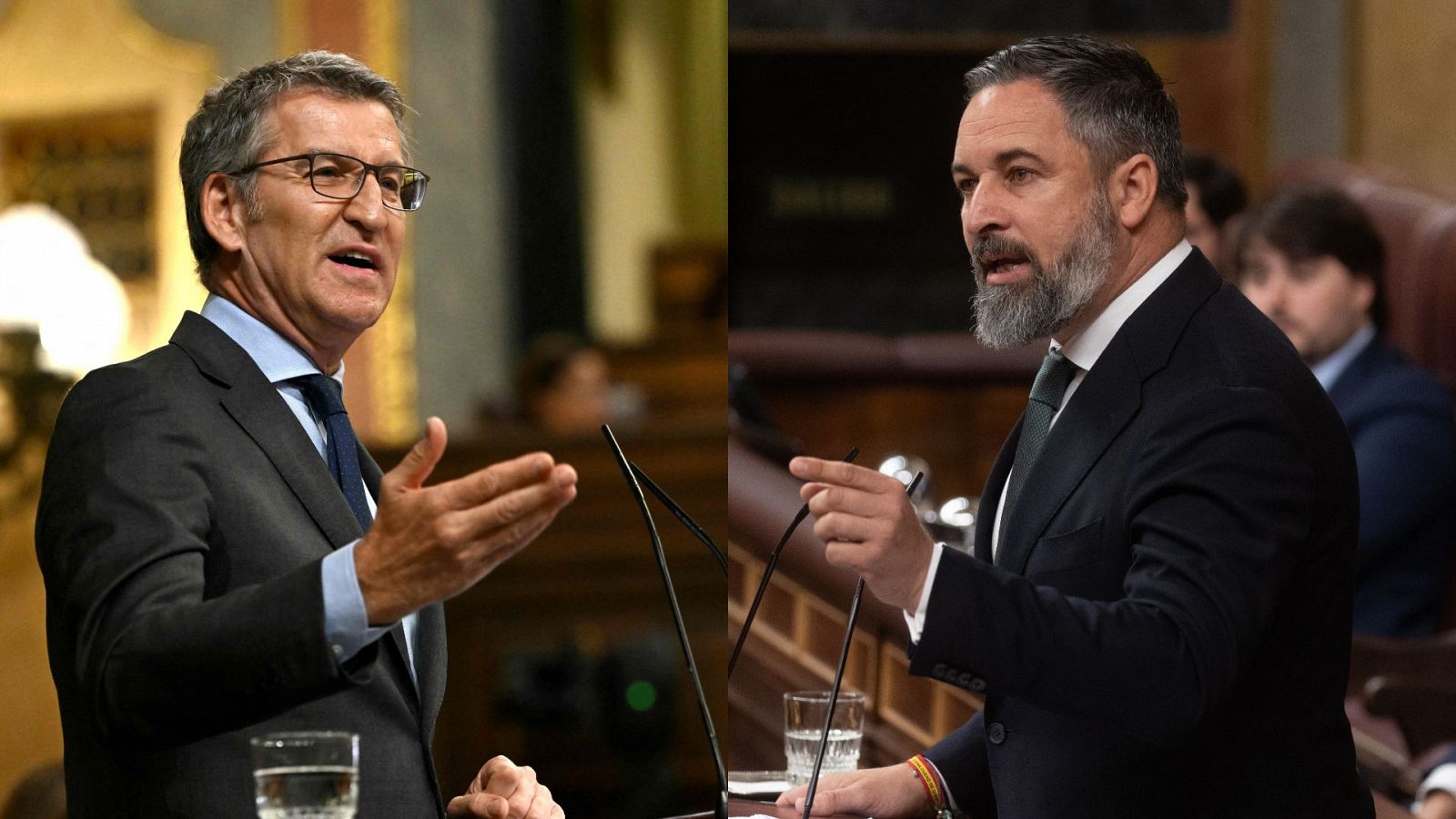 Alberto Núñez Feijóo  (PP) y Santiago Abascal (Vox) durante el pleno