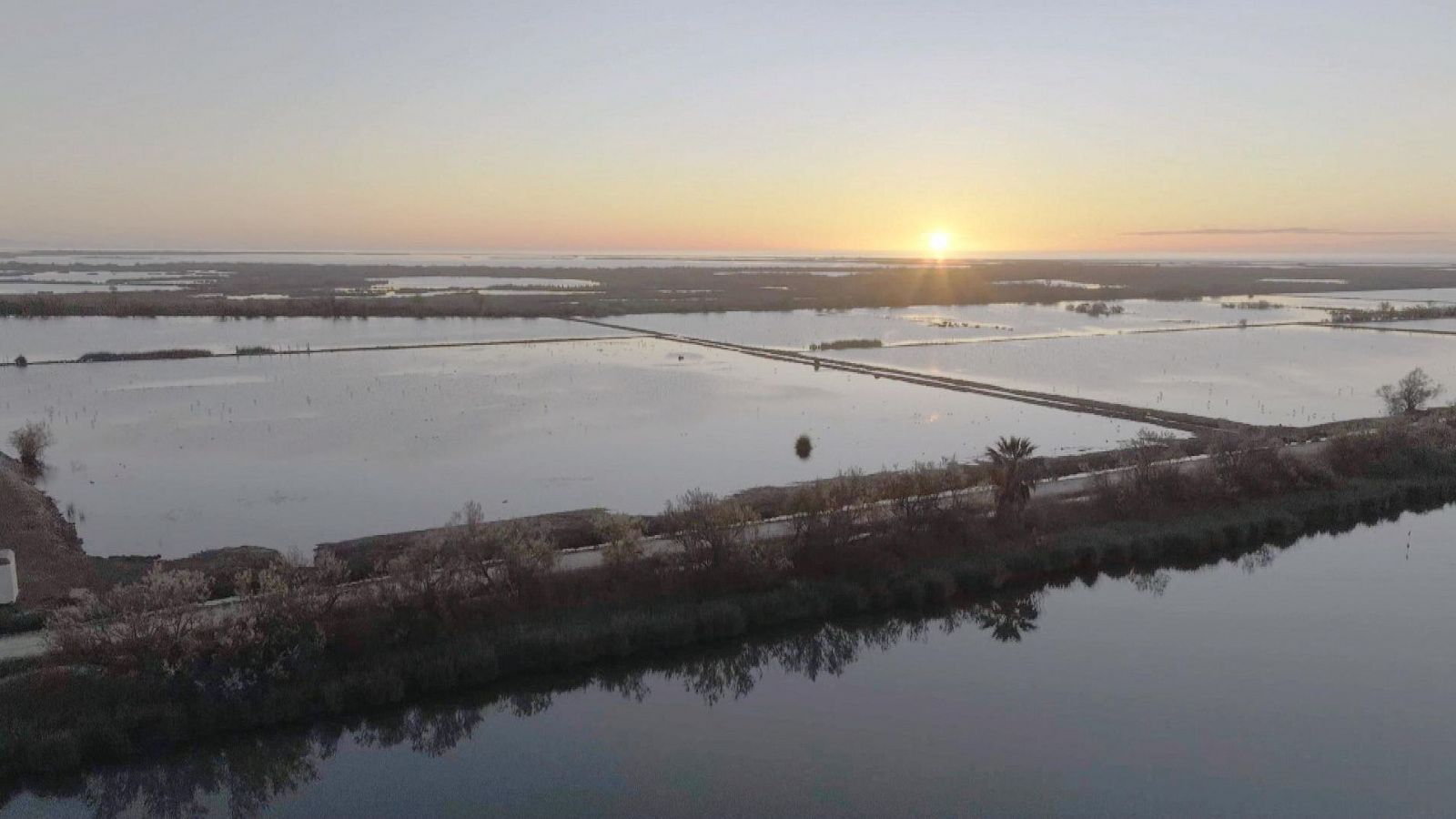 El Delta del Ebro es el mayor humedal del Mediterráneo