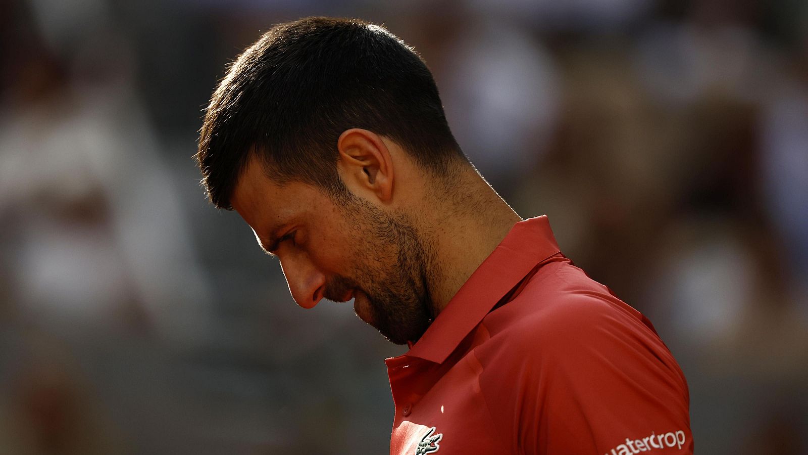 Roland Garros 2024: Novak Djokovic