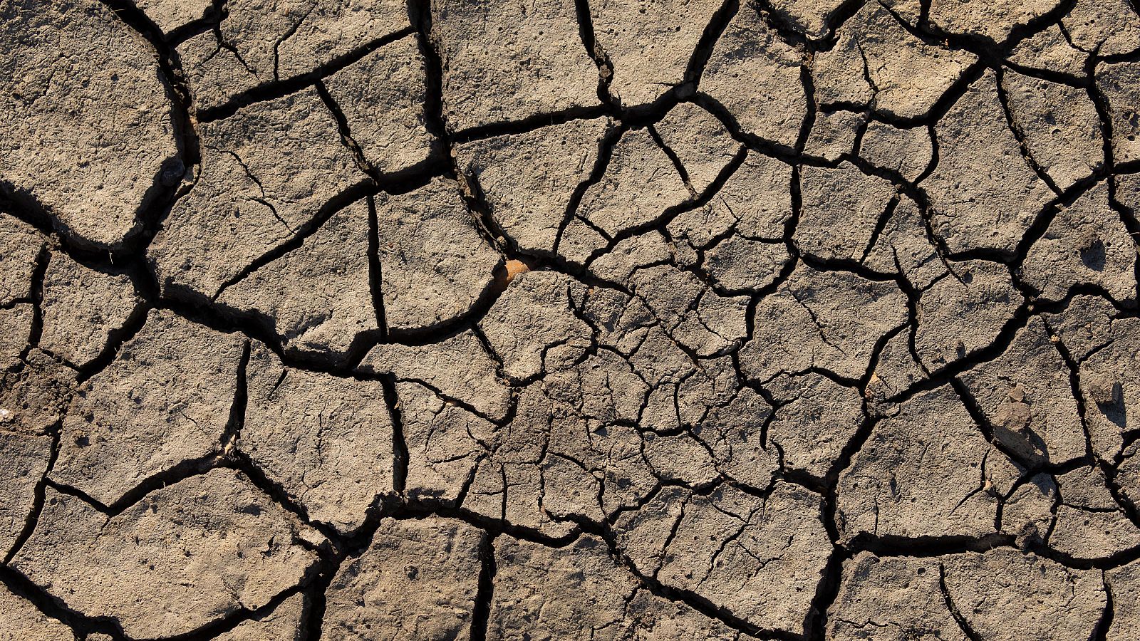 Campo afectado por el cambio climático en Torreblanca