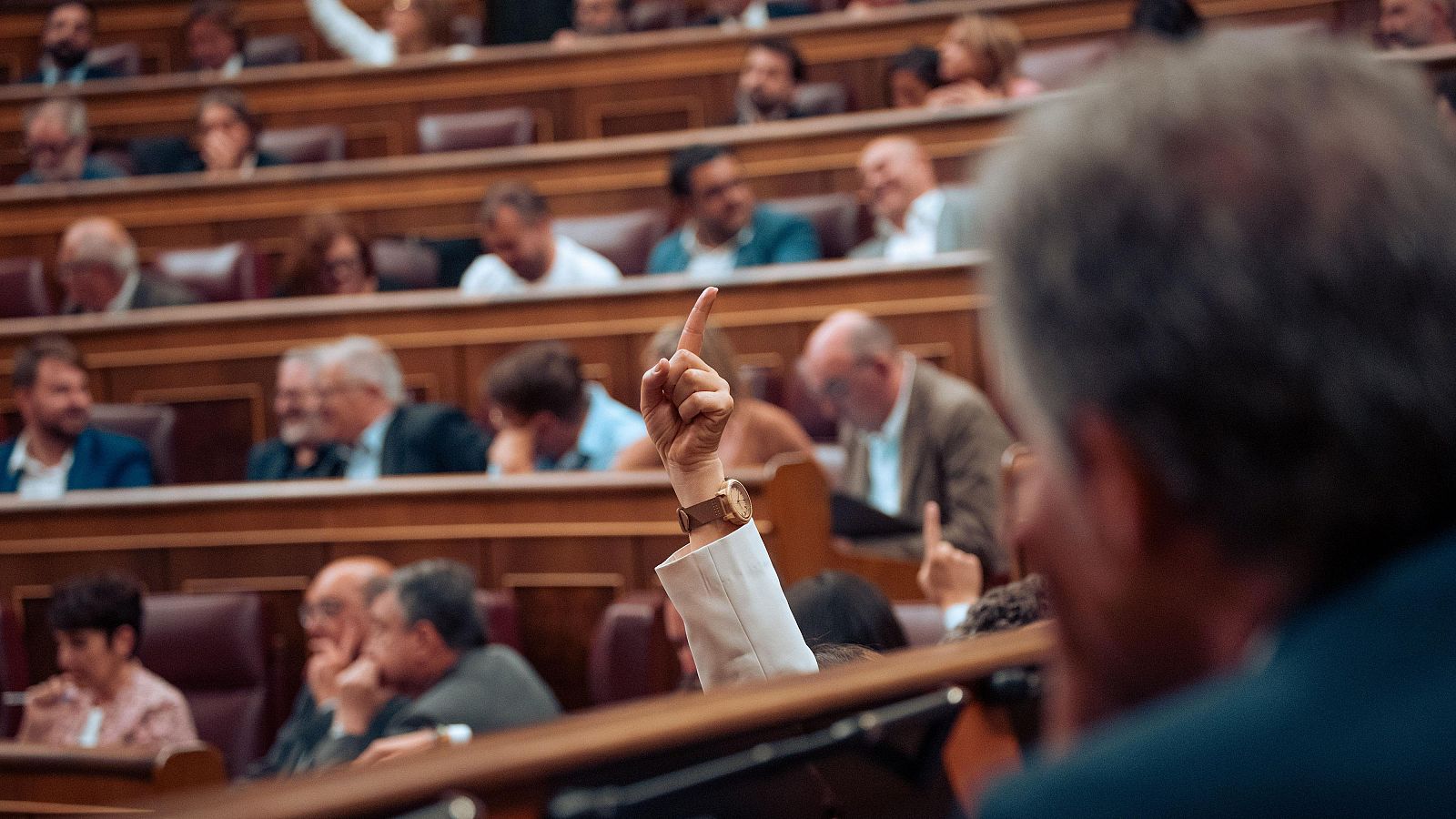 El Congreso da el primer paso para reformar el Código Penal  y castigar la multirreincidencia en hurtos y estafa