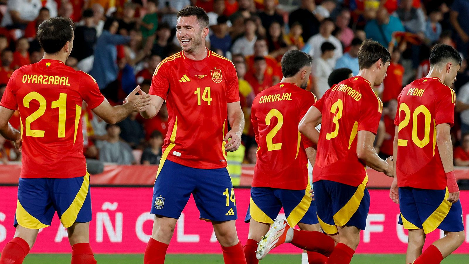 Murcia y Córdoba acogerán a España en sus partidos contra Dinamarca y Serbia