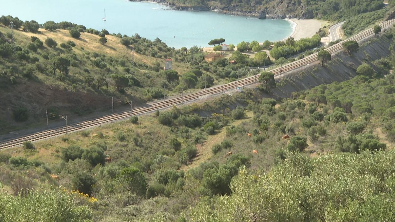 Es porten a terme treballs forestals entre els termes de Colera i Portbou