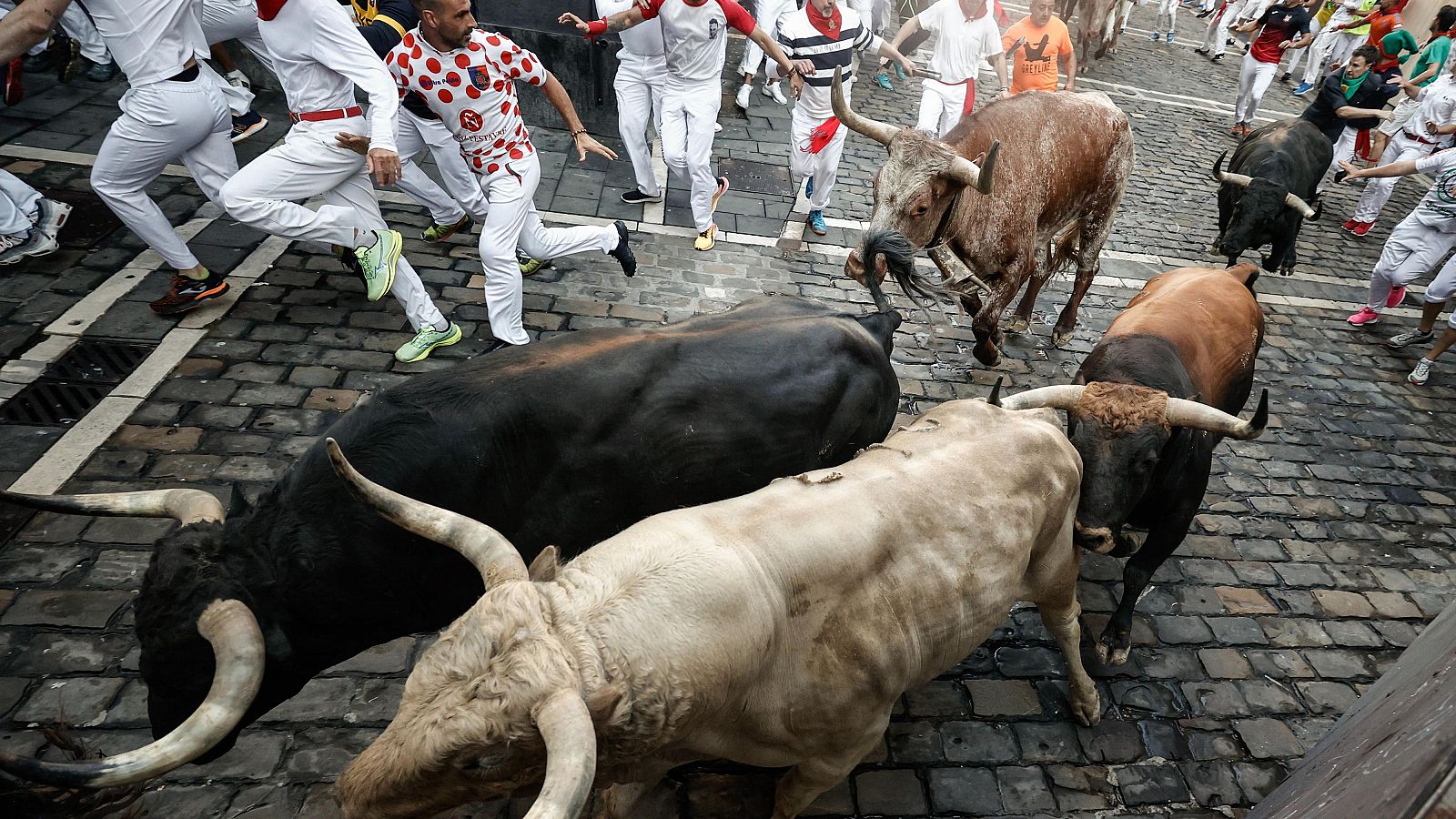 San Fermín 2024: toros de Fuente Ymbro, para el cuarto encierro