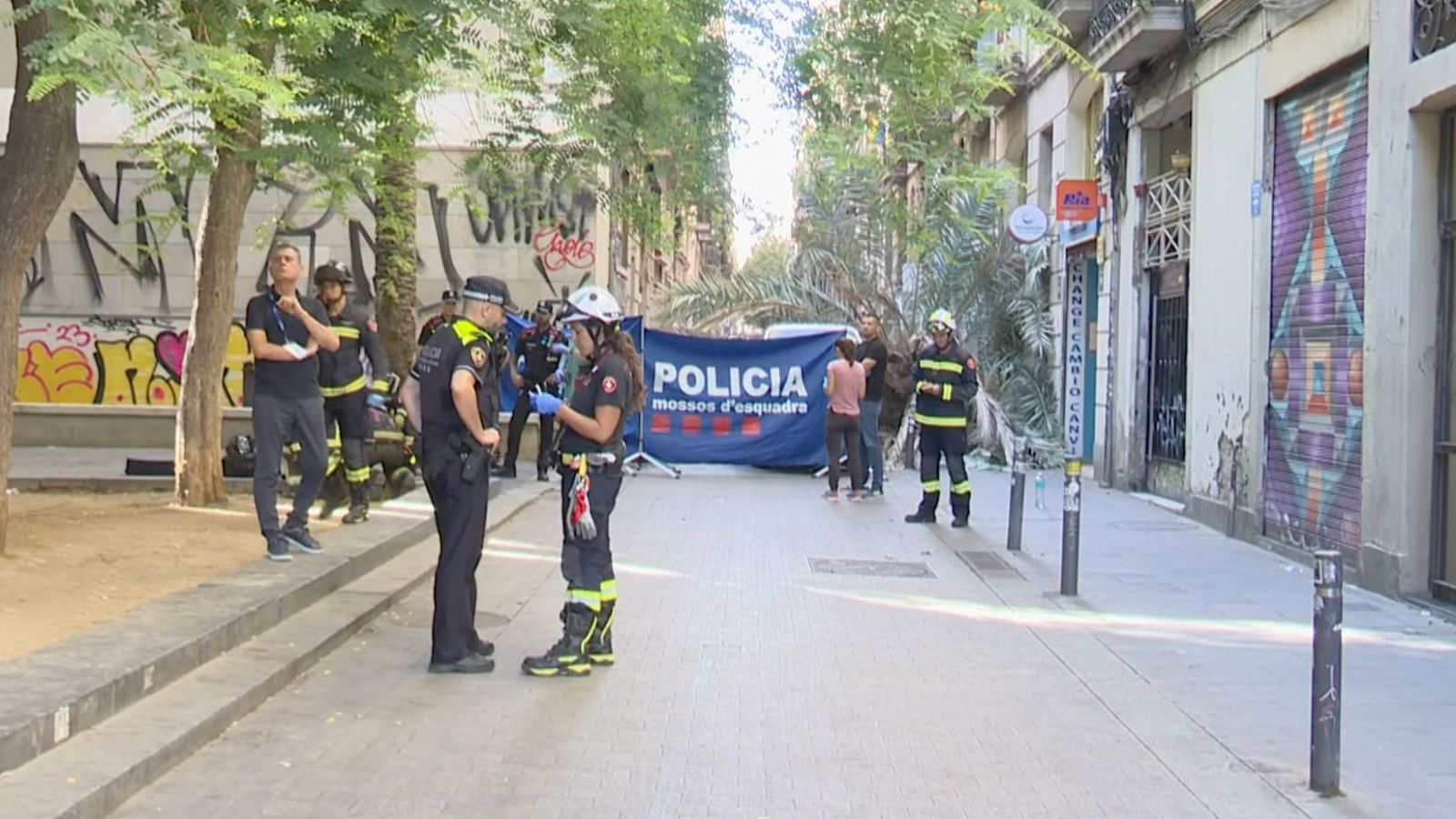 El bufet d'advocats acusa el consistori de la manca de manteniment, ja que l'arbre estava "en mol mal estat".