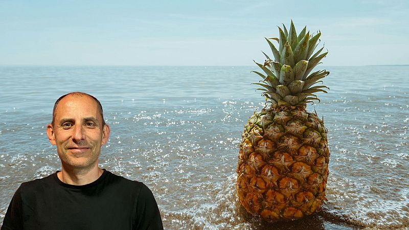 Las vacaciones es el momento ideal para aumentar nuestra actividad física.