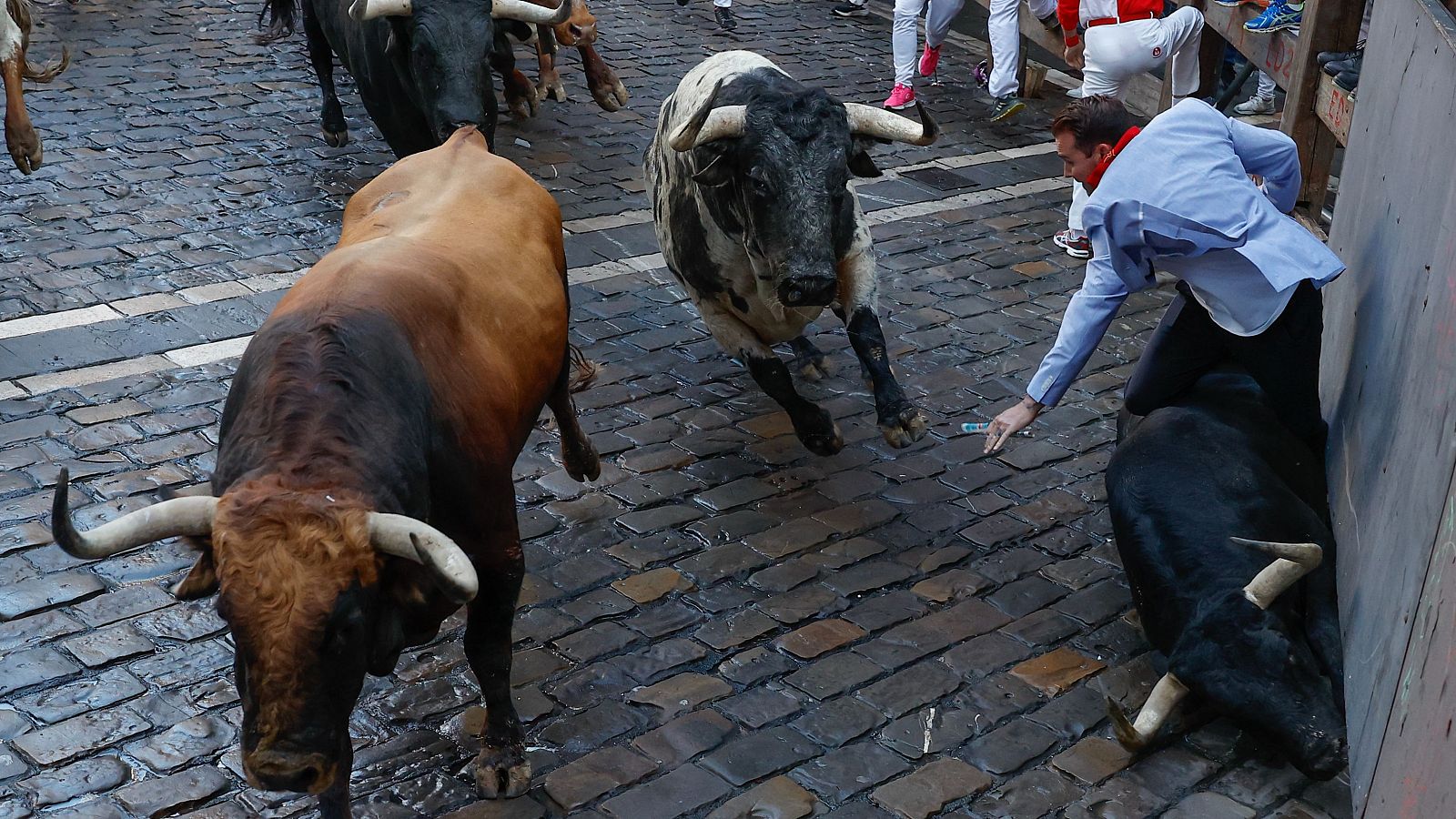 Mejores imágenes del segundo encierro de San Fermín 2024: un mozo y un toro caen durante el segundo encierro con los Cebada Gago