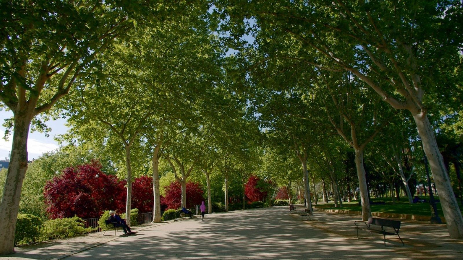 Los imprescindibles del Parque del Oeste de Madrid: más allá del Templo de Debod