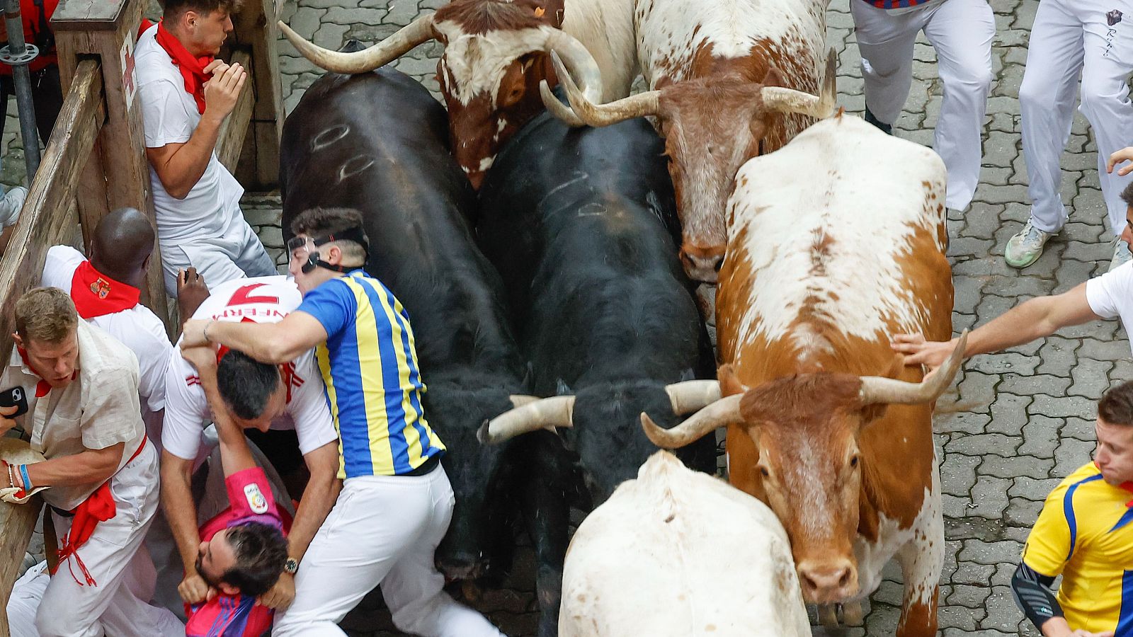 Mejores imágenes del tercer encierro de San Fermín 2024