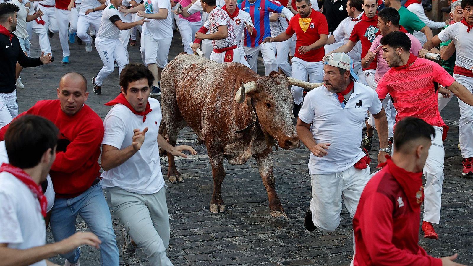 Séptimo encierro de San Fermín 2024: ganadería, horario y dónde ver en TV