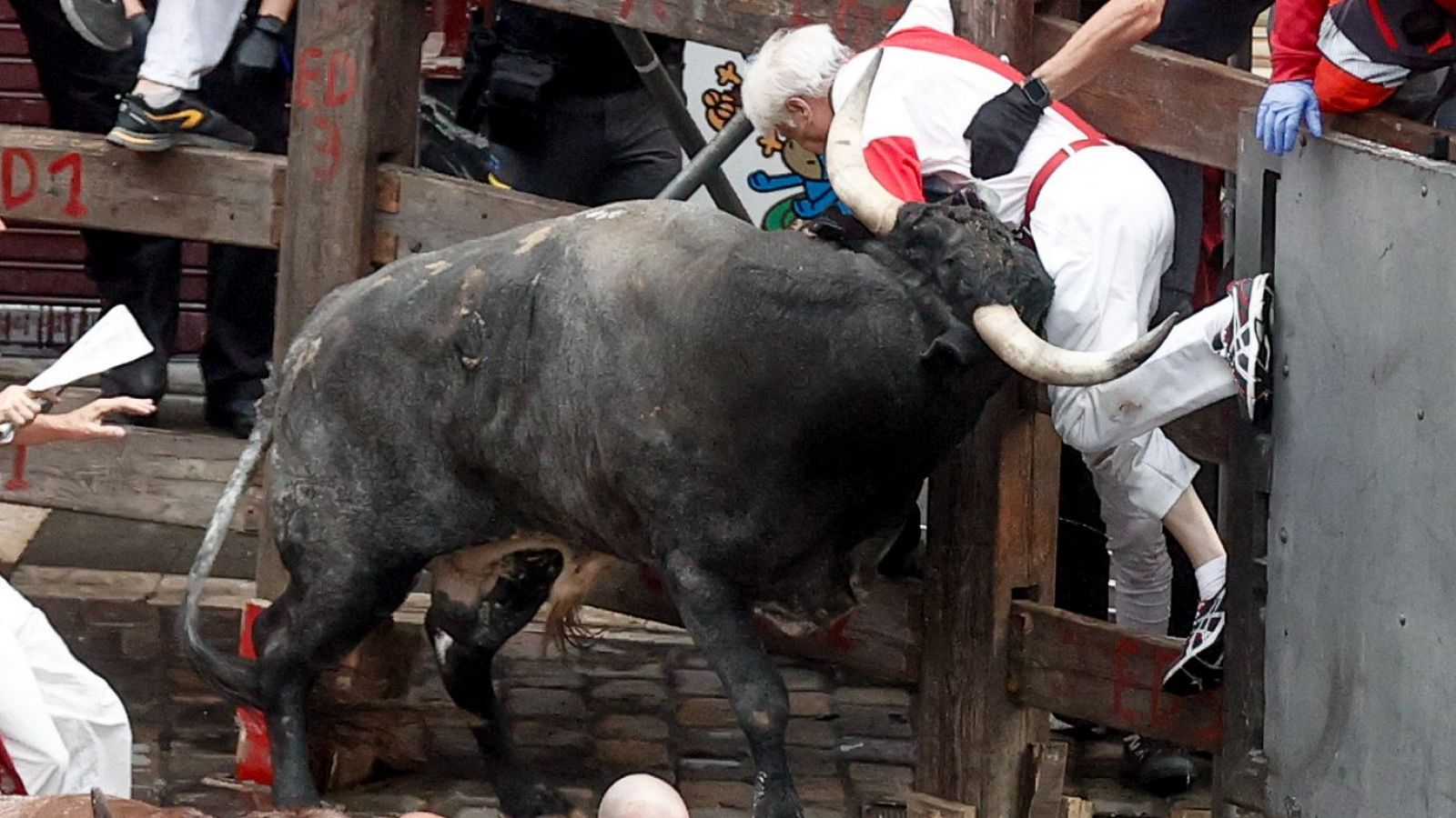 Un mozo es embestido por uno de los toros de la ganadería sevillana de Miura durante el último encierro de los Sanfermines 2024, este domingo, en Pamplona.