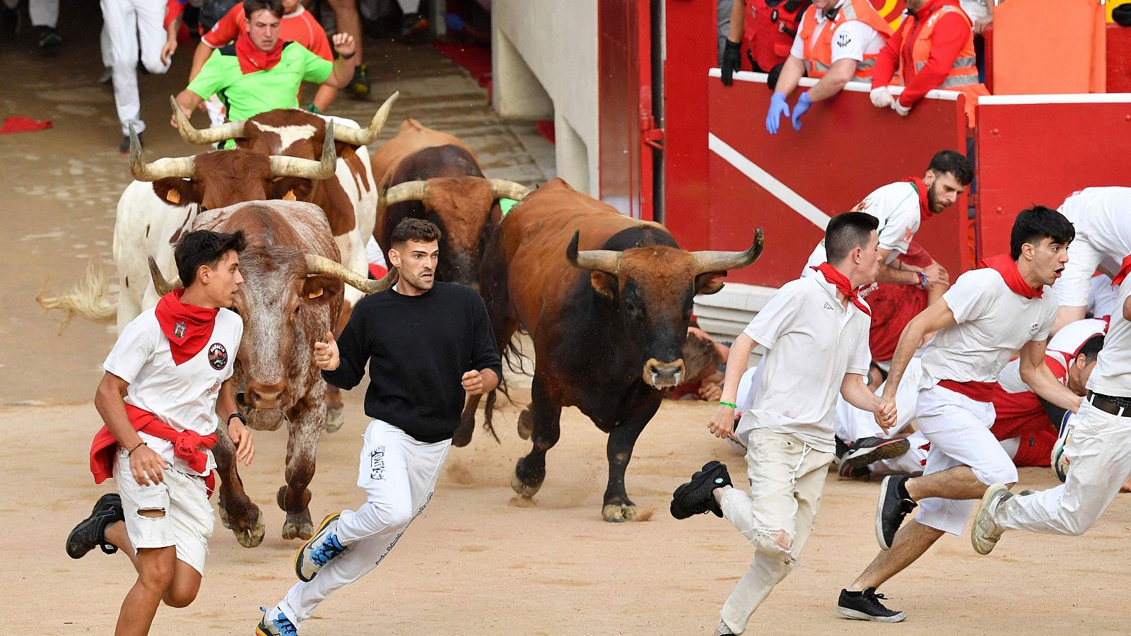 Séptimo encierro de los sanfermines 2024