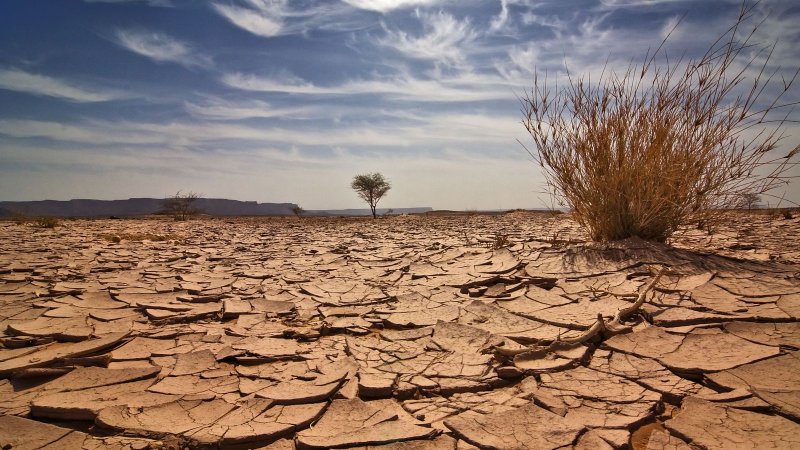 El pasado lunes el planeta batió el record de temperatura por segunda vez