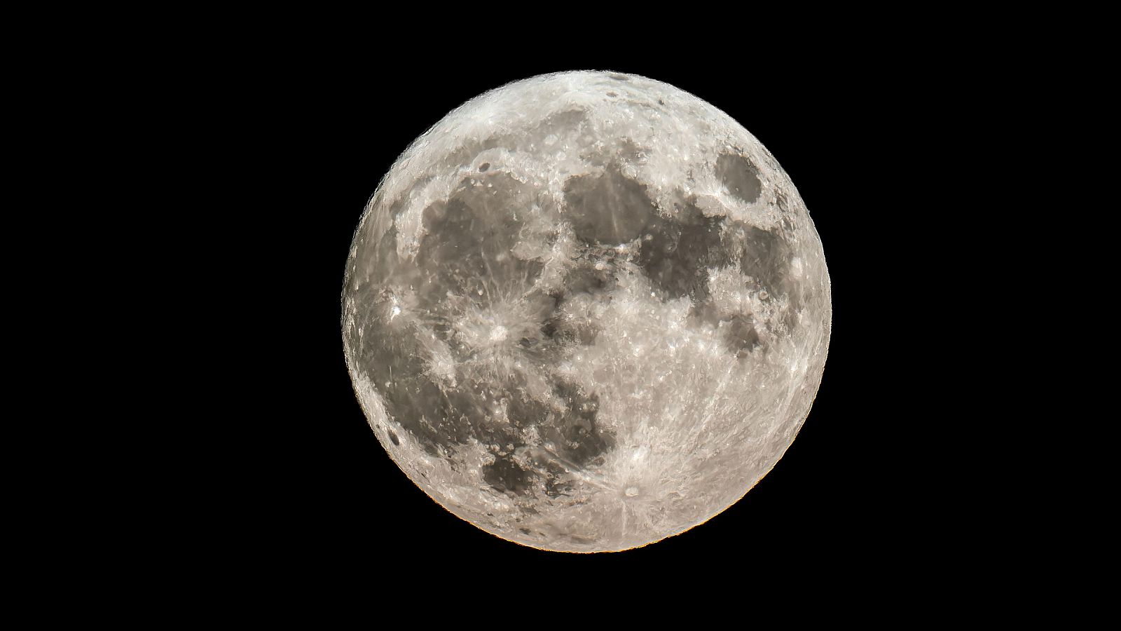 Un grupo de científicos propone almacenar muestras de biodiversidad en la Luna