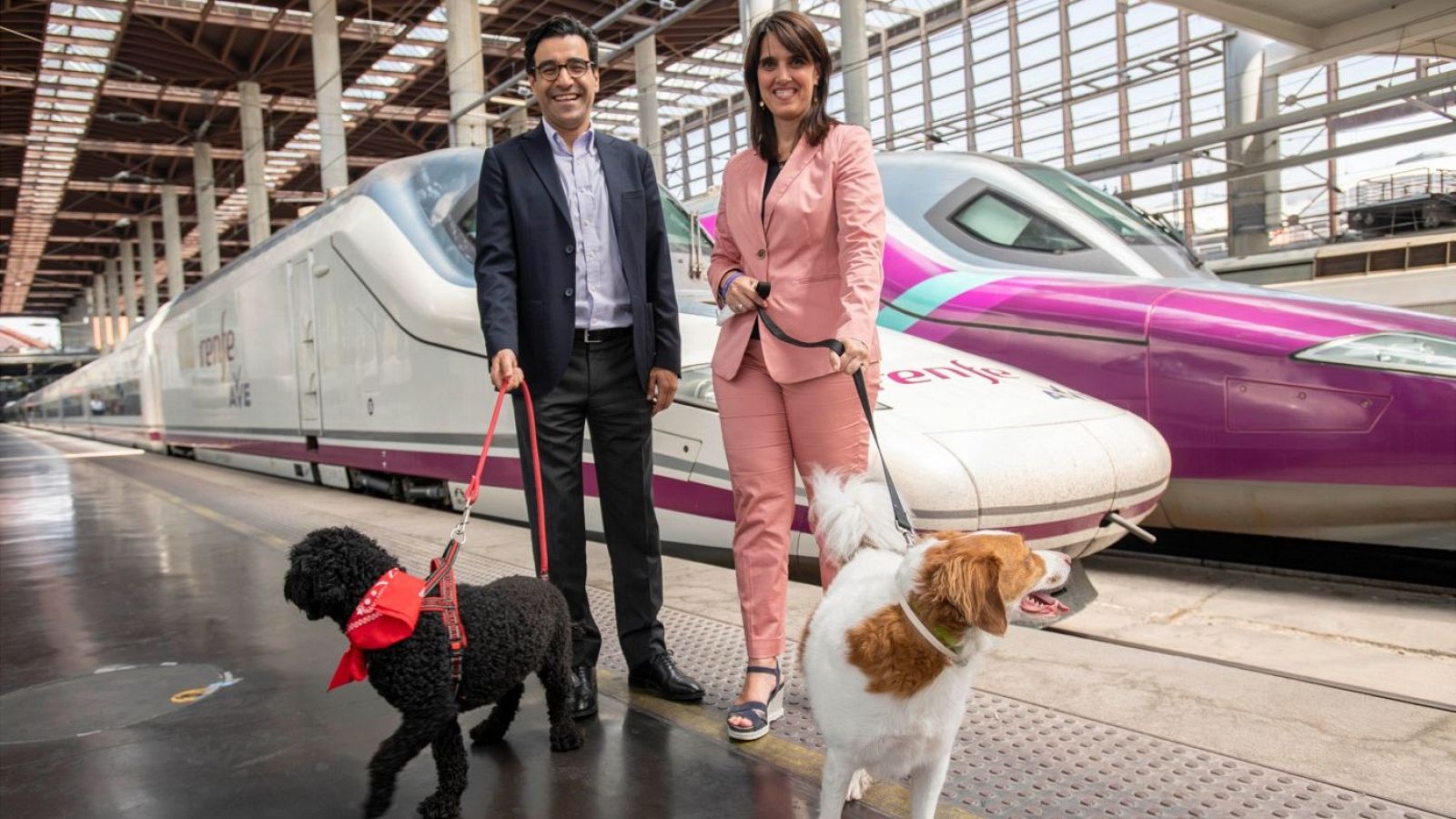 Ascienden los trenes para viajes con perros de un máximo de 40 kilos