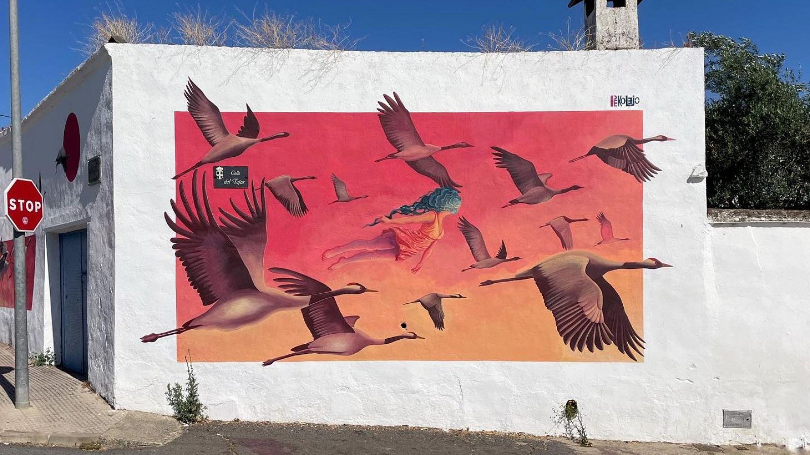 Muro realizado por PEKOLEJO en Hinojal (Cáceres), dentro del festival Muro Crítico 2024