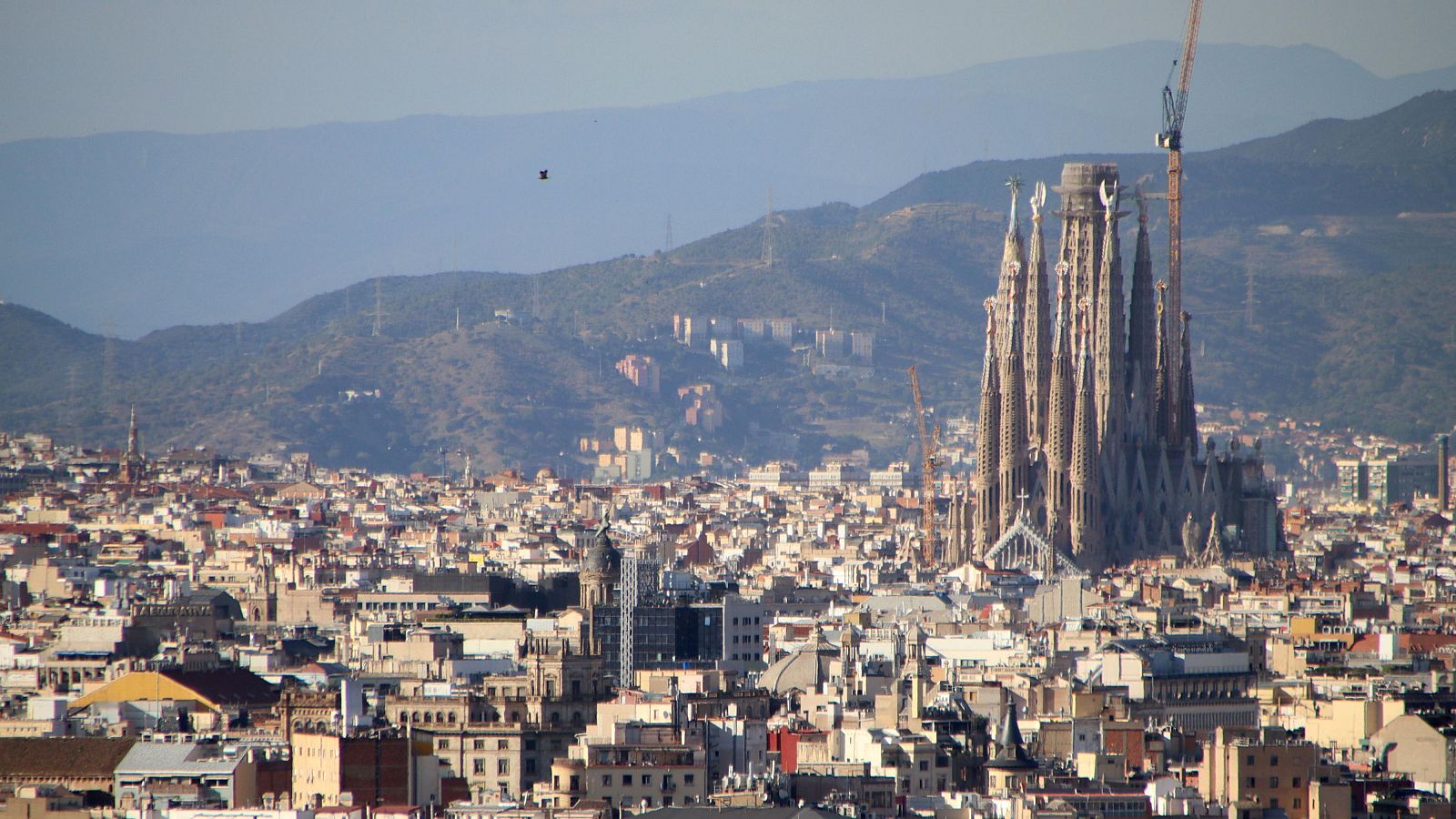 Vistes de la Sagrada Família des dels jardins del Palauet Albéniz (ACN | Blanca Blay)