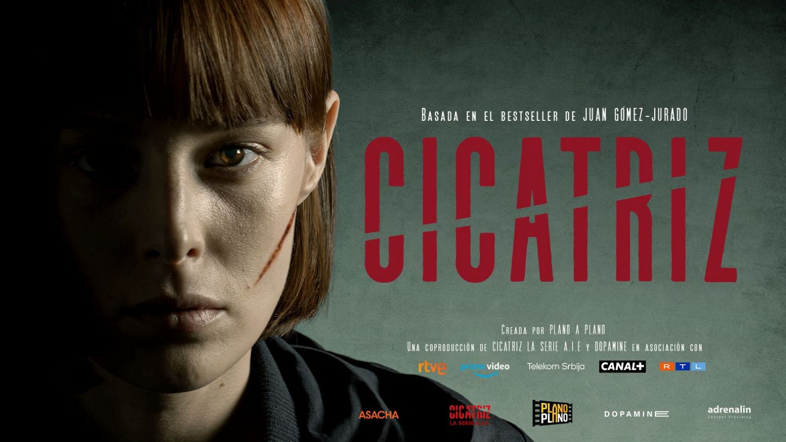 Cartel de 'Cicatriz', basada en una novela de Juan Gómez-Jurado