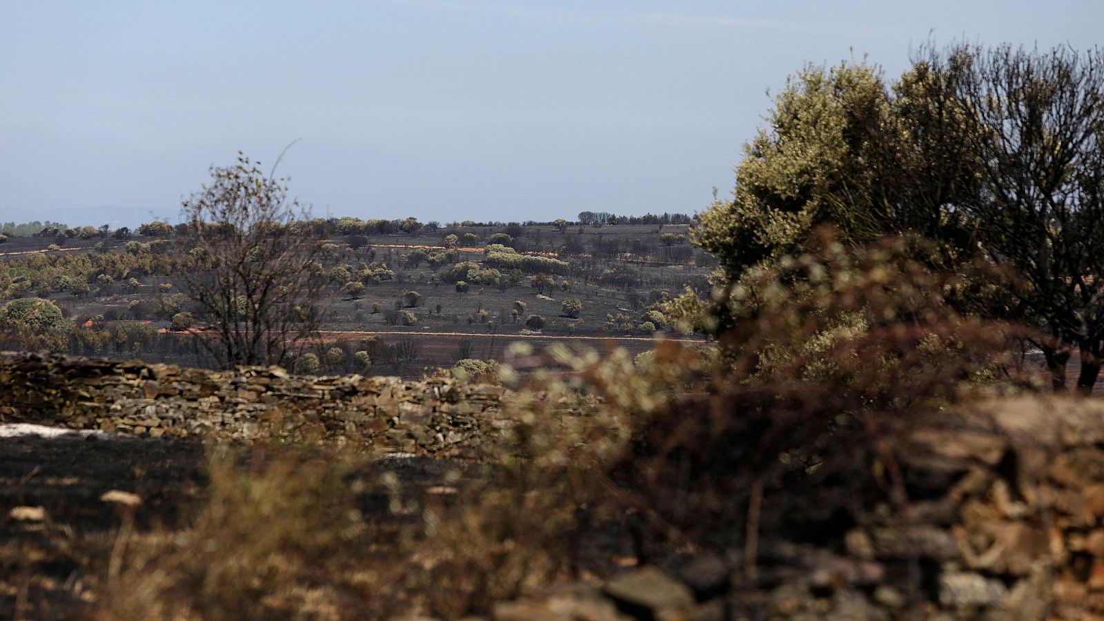 Vista del incendio de Astorga