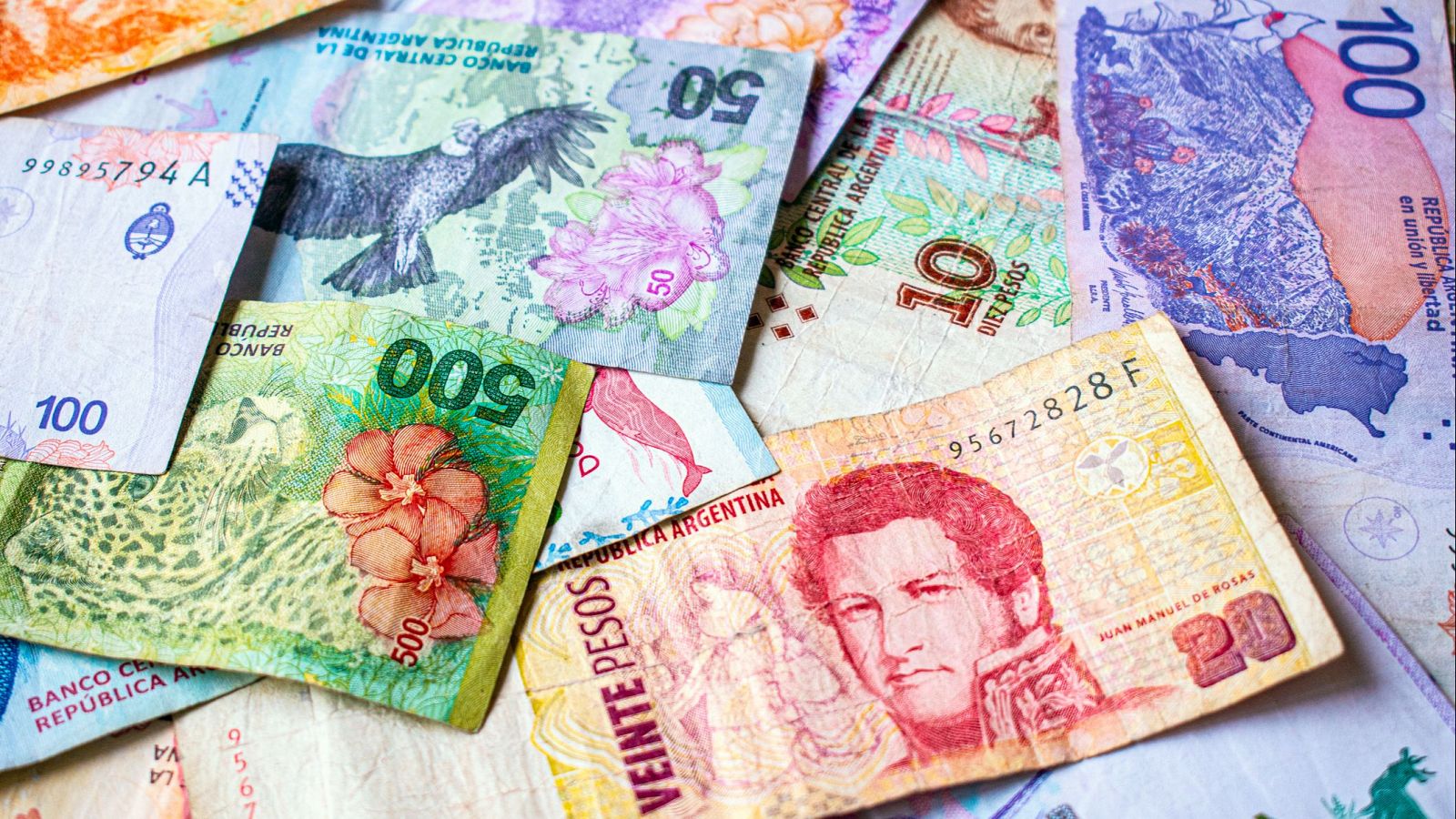 Billetes de pesos argentinos.