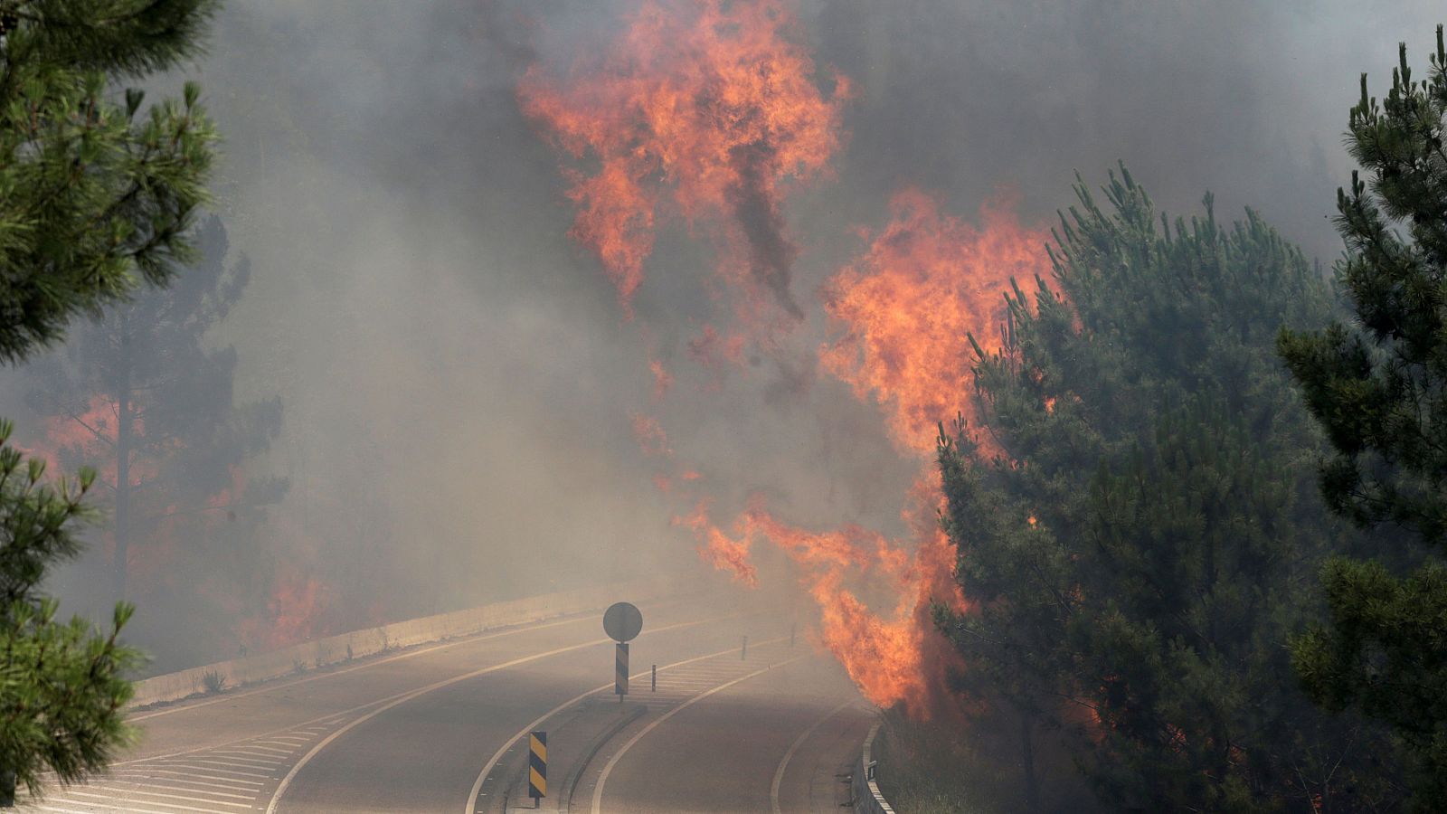 Cómo actuar si estás atrapado en tu coche durante un incendio