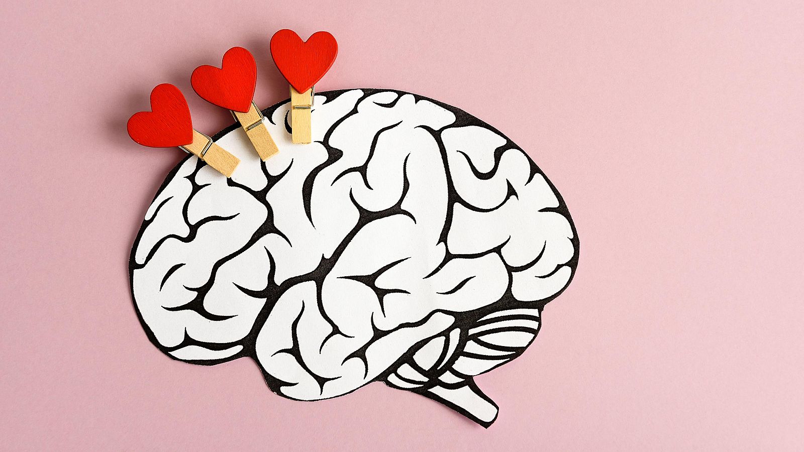 Un estudio desvela dónde y cómo se activa el amor en el cerebro