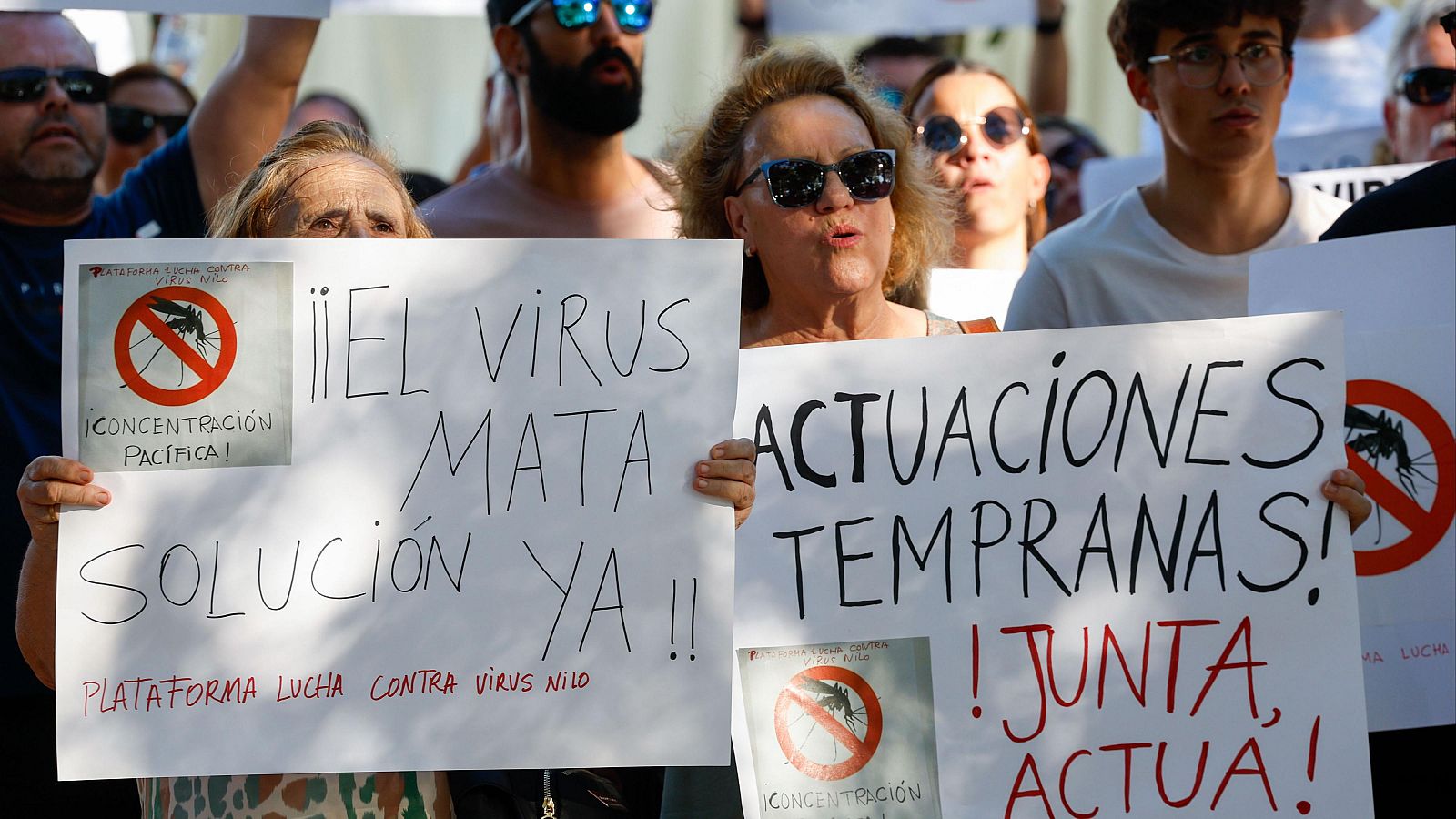 Vecinos de Coria del Río (Sevilla) piden a la Junta de Andalucía que aumente el control sobre las poblaciones de mosquitos