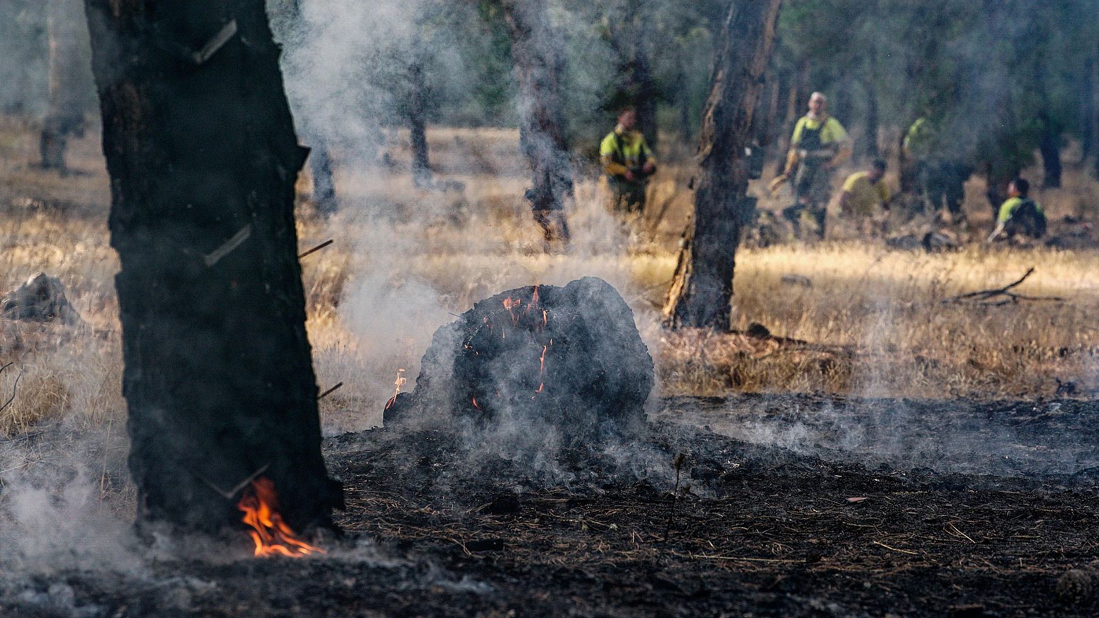 El incendio de Cabizuela, en Ávila