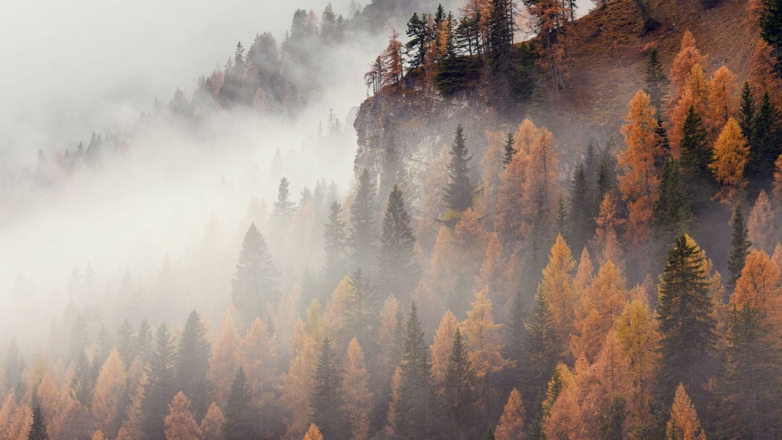 El otoño meteorológico ¿Qué es?