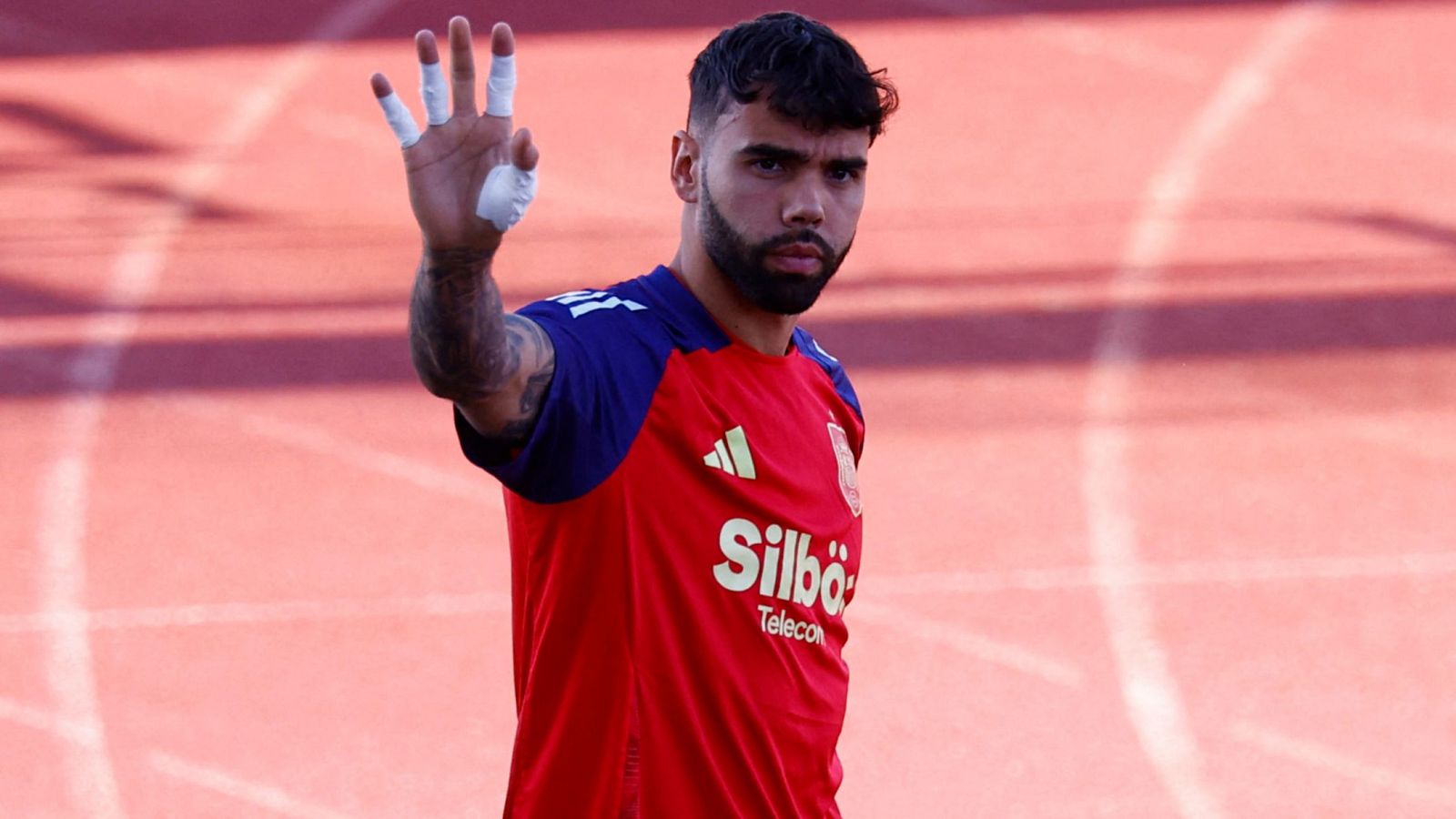 David Raya: 