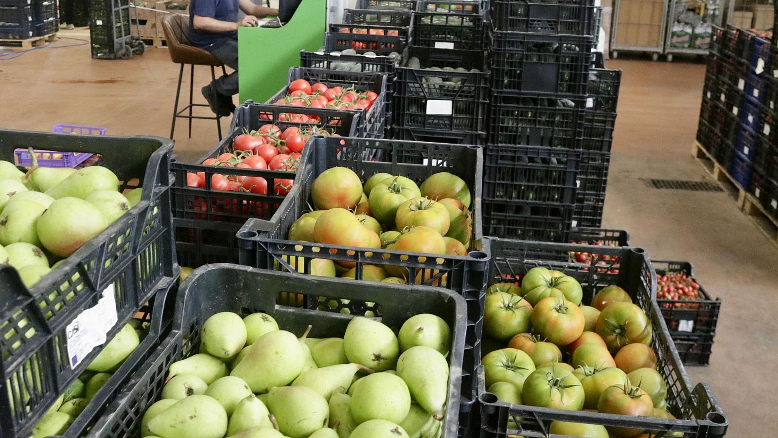 Un dels pavellons del mercat de fruita i hortalissa de Mercabarna, 10 de juliol del 2024 (ACN/Jordi Pujolar)