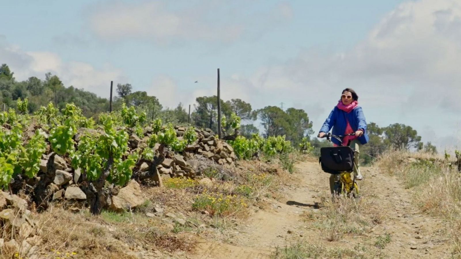 Sílvia Abril en bicicleta per les vinyes del Priorat amb el programa 'La recepta perduda'