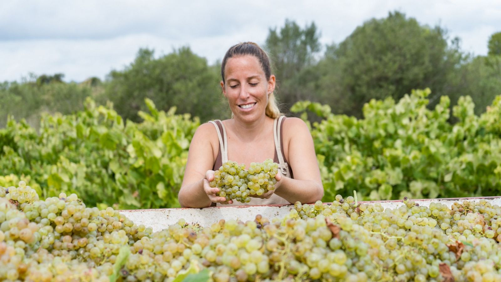 Buenas noticias de la semana del 16 al 22 de septiembre: buenas cosechas, más nacimientos y estreno del otoño