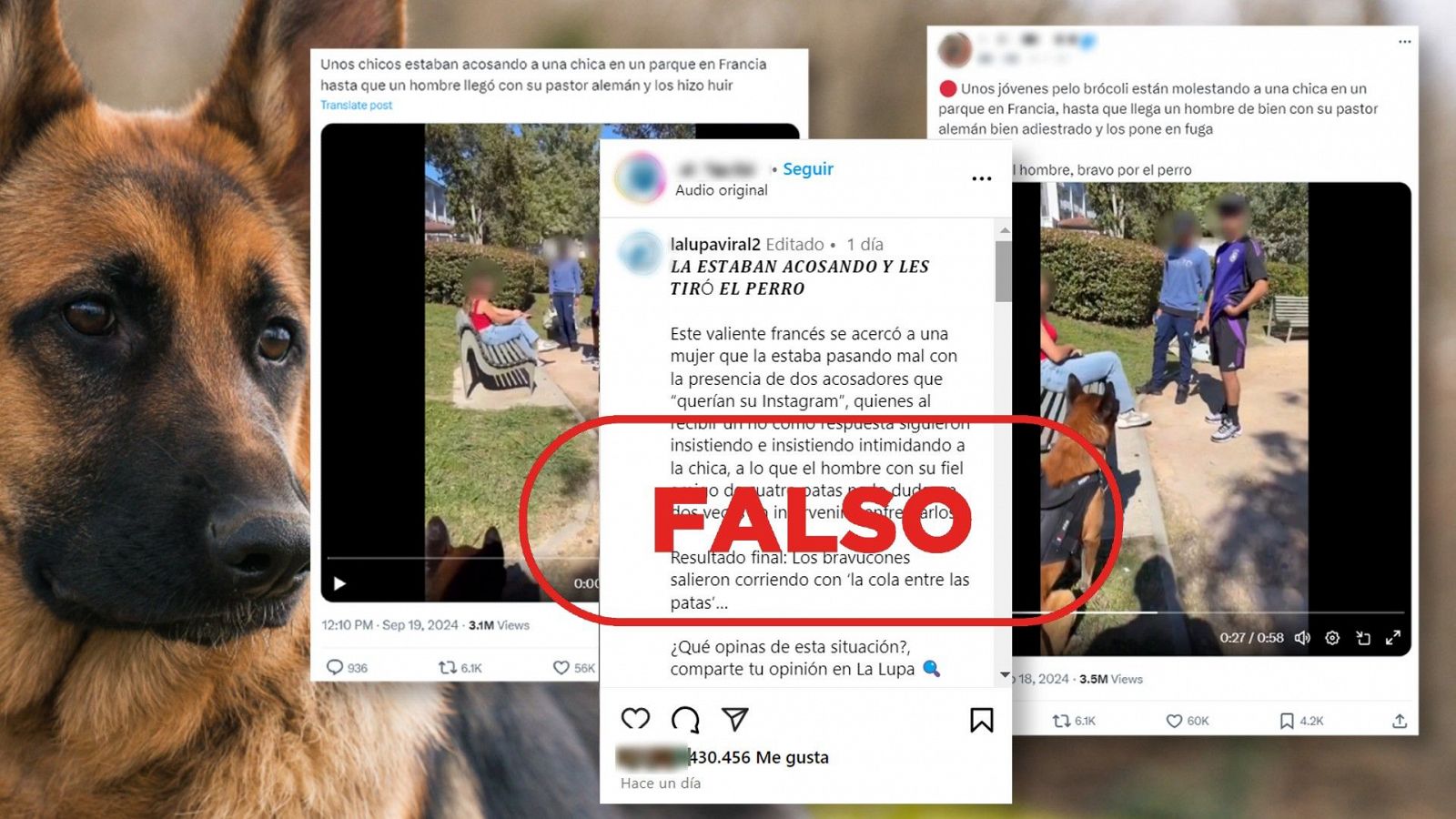 Este vídeo de un perro defendiendo a una joven no muestra una situación de acoso real