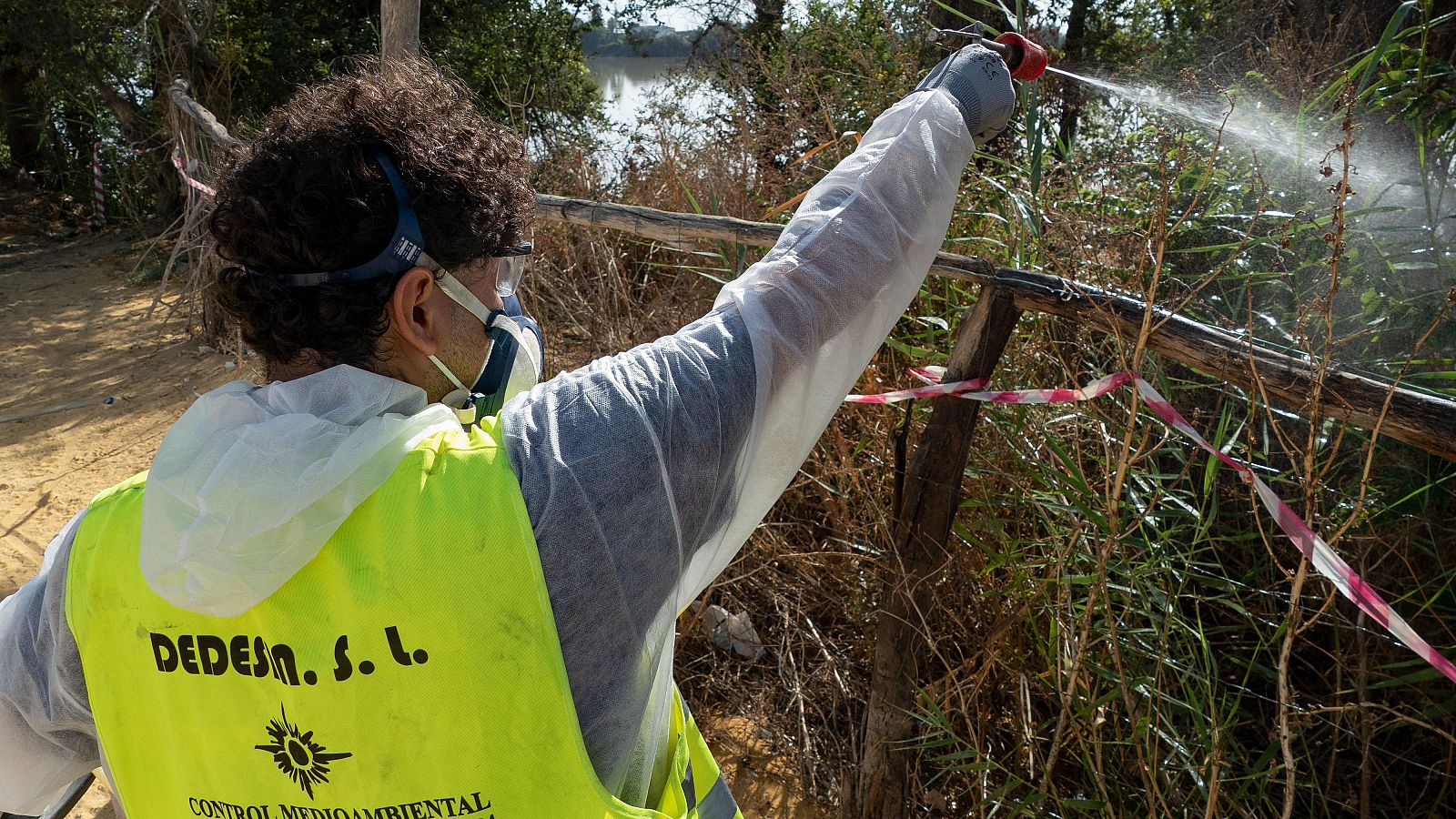 Tareas de fumigación contra la propagación del mosquito en la Puebla del Río, Sevilla