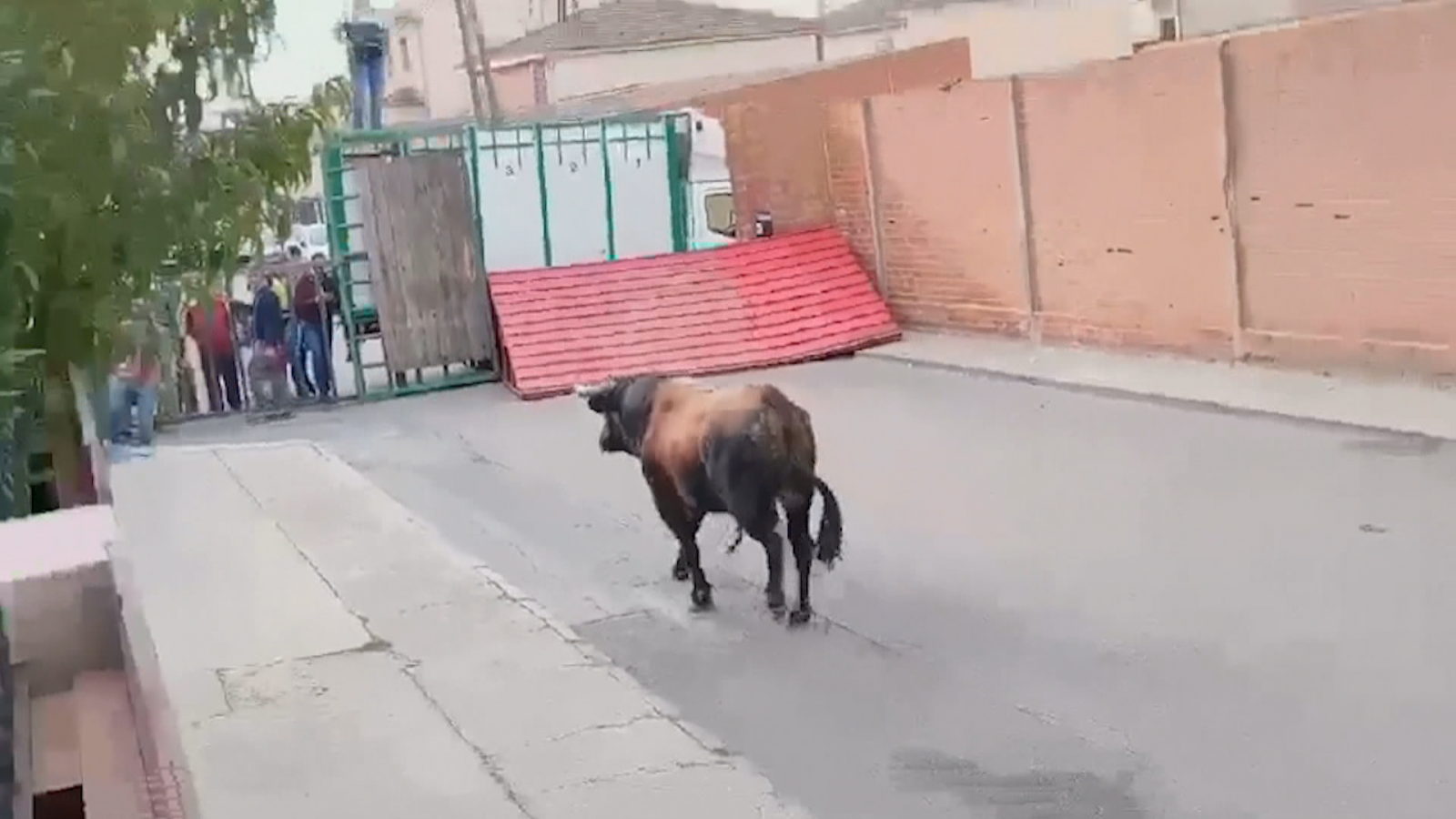 Accidente en un encierro de Pantoja, Toledo