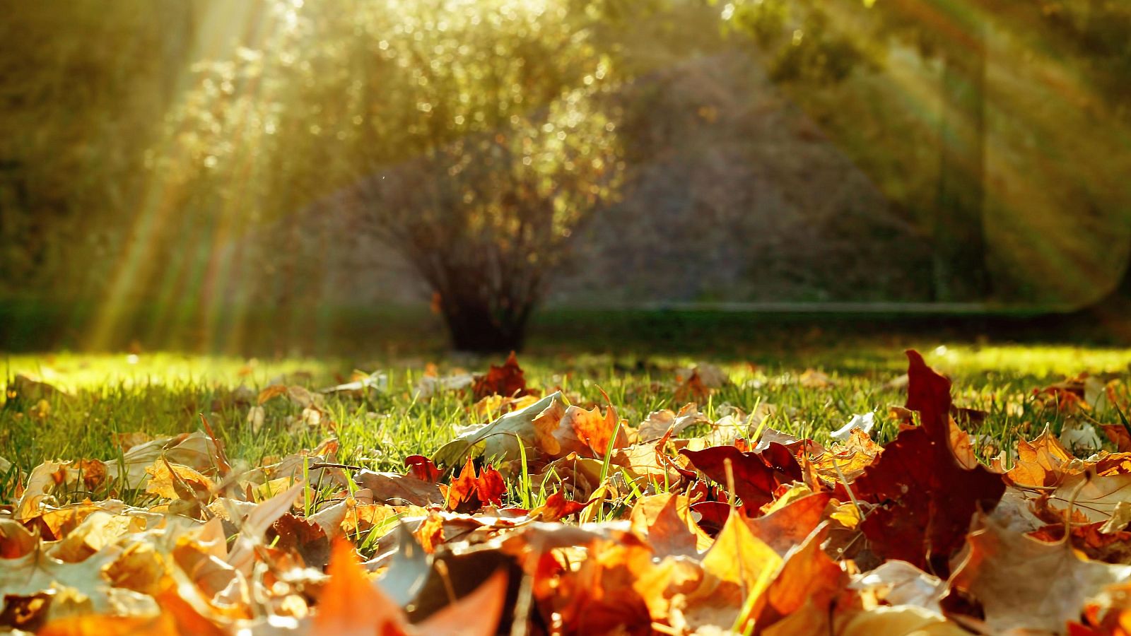 Un otoño más cálido